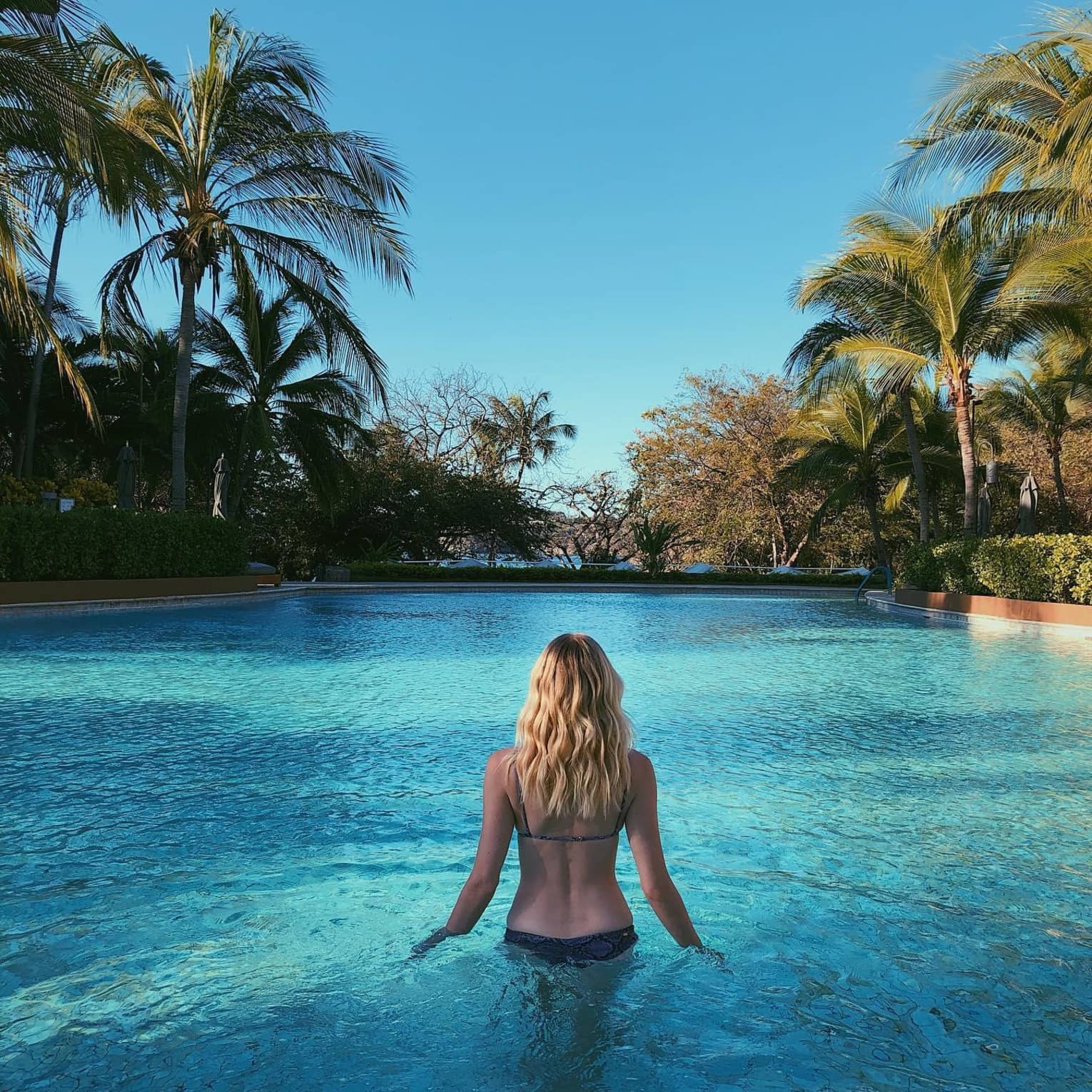 Guest enjoying a swim in the pool surrounded by lush palm trees