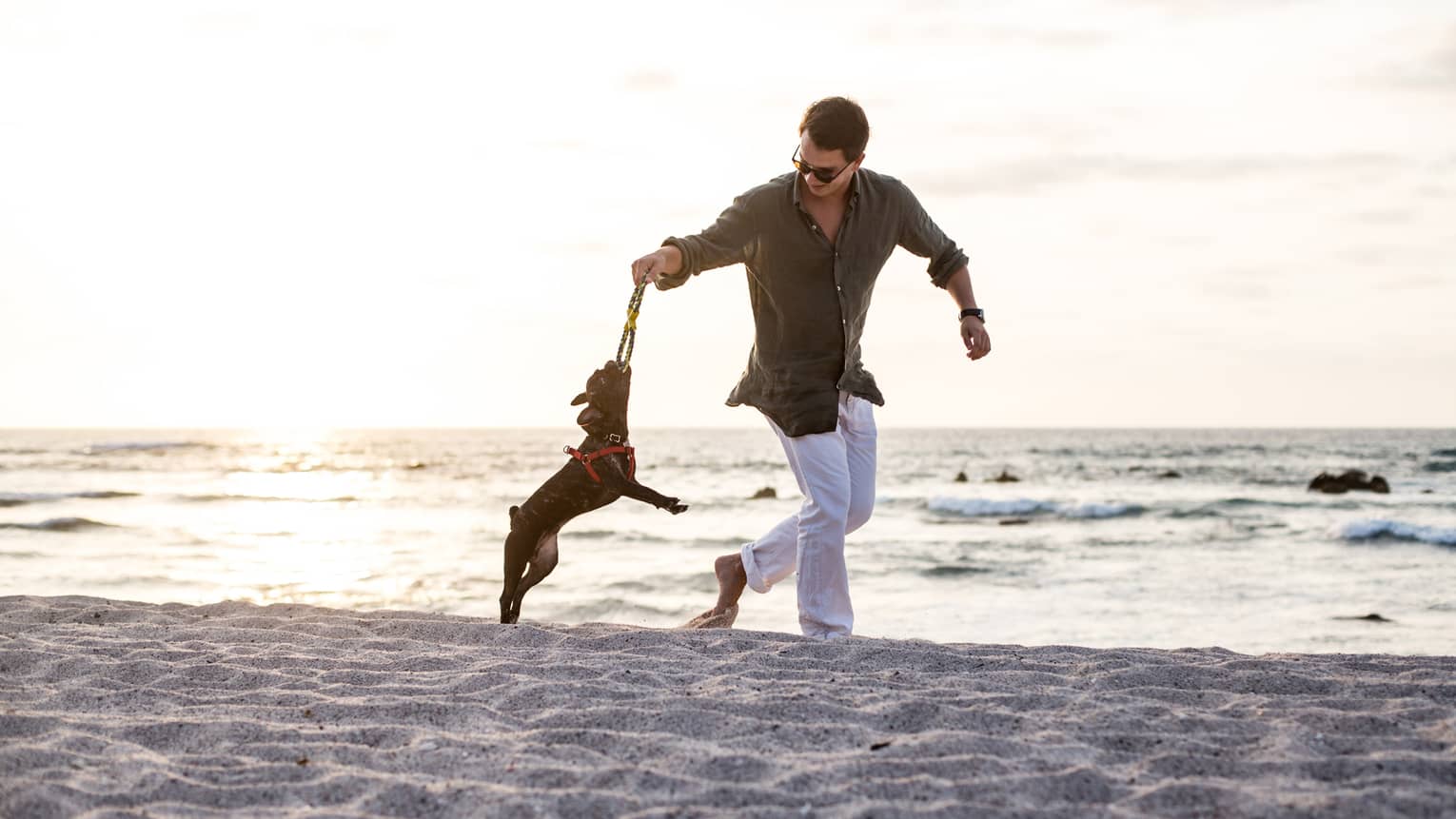 Person wearing white pants and olive-green button down shirt runs on the beach with a dog