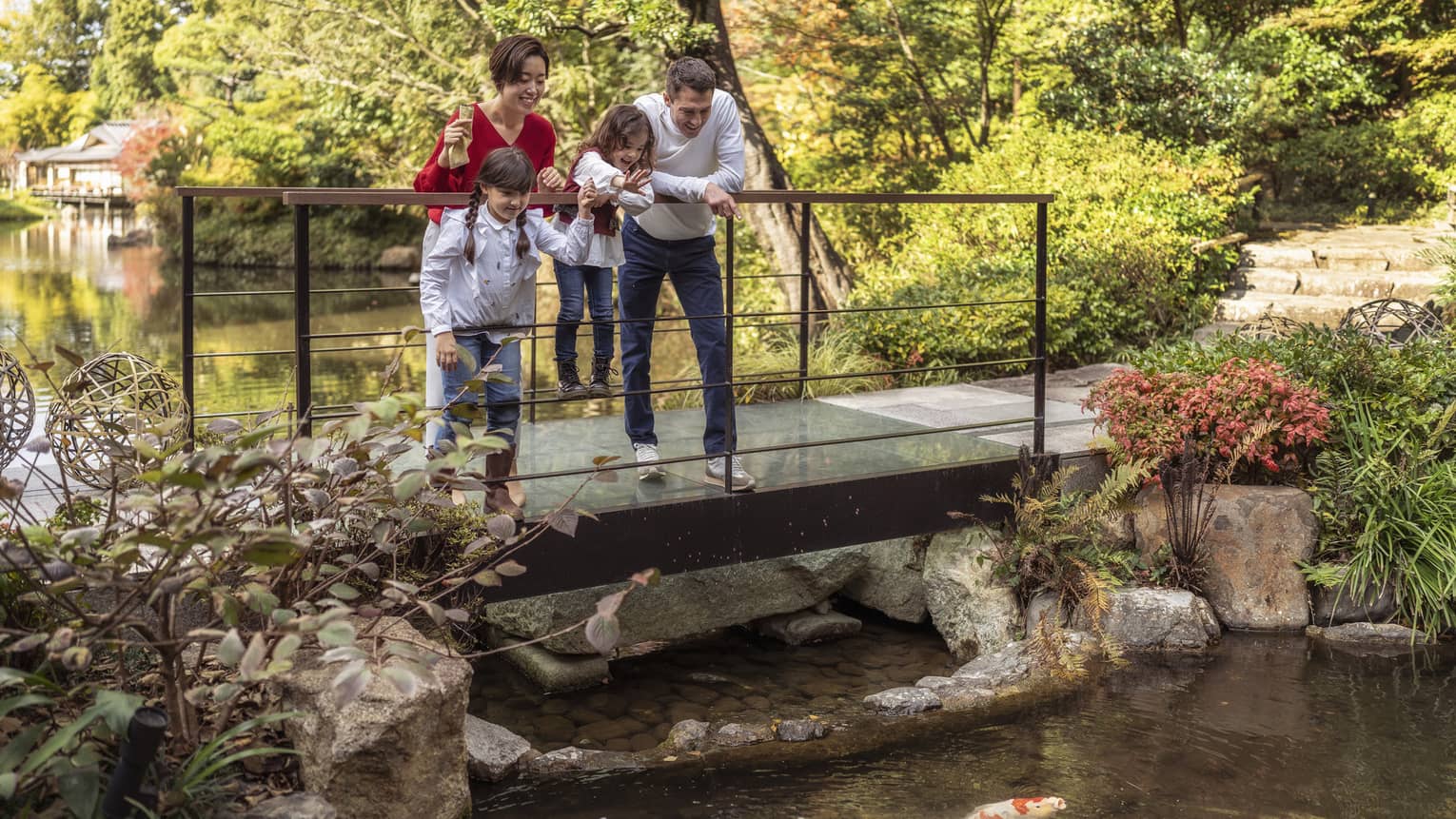 Parents and young son and daughter feed koi fish on foot bridge over pond