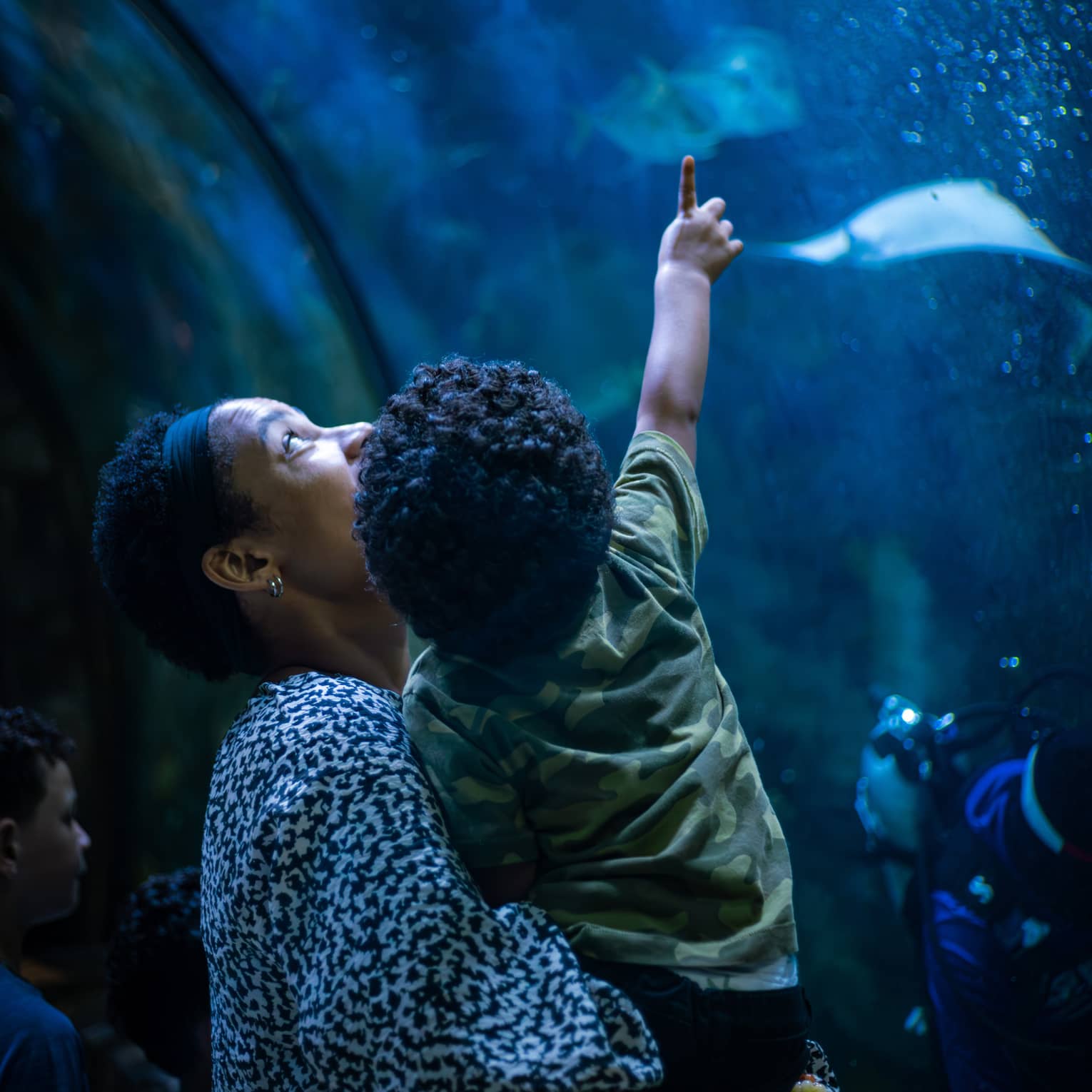 View from behind of a parent holding a toddler who is pointing upward at two stingrays in a bubbly, deep-blue aquarium.