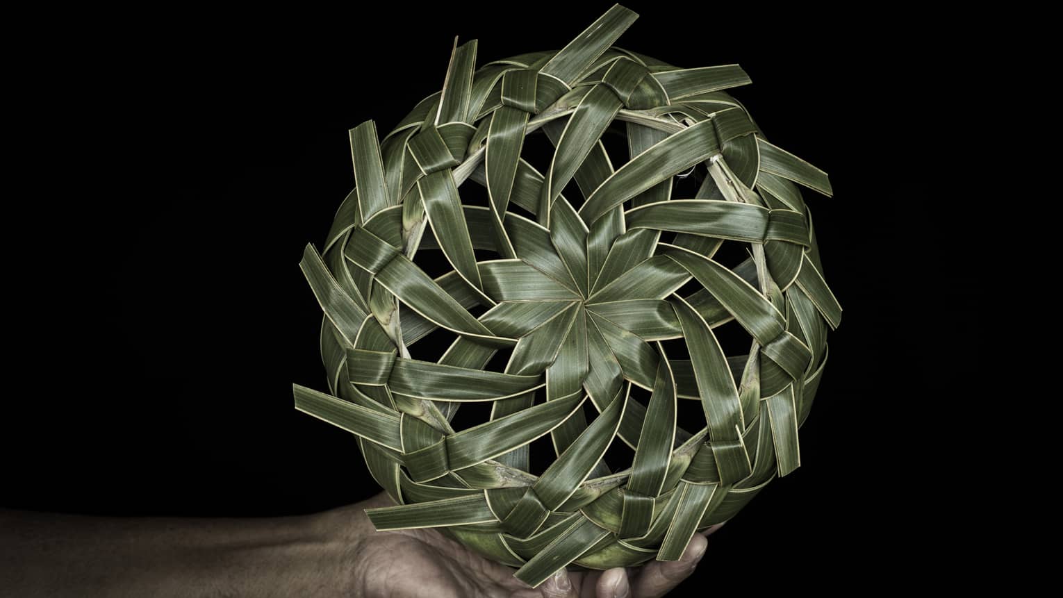 A hand holding a spinning wheel of palm fronds.