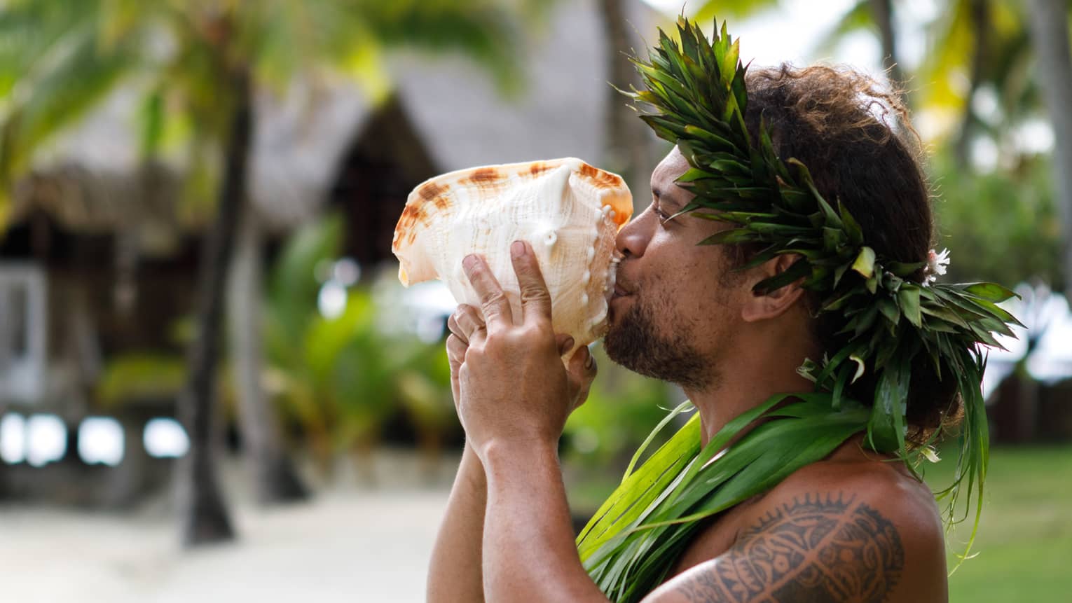 Tahitian man holds large sea shell to his lips on resort garden path