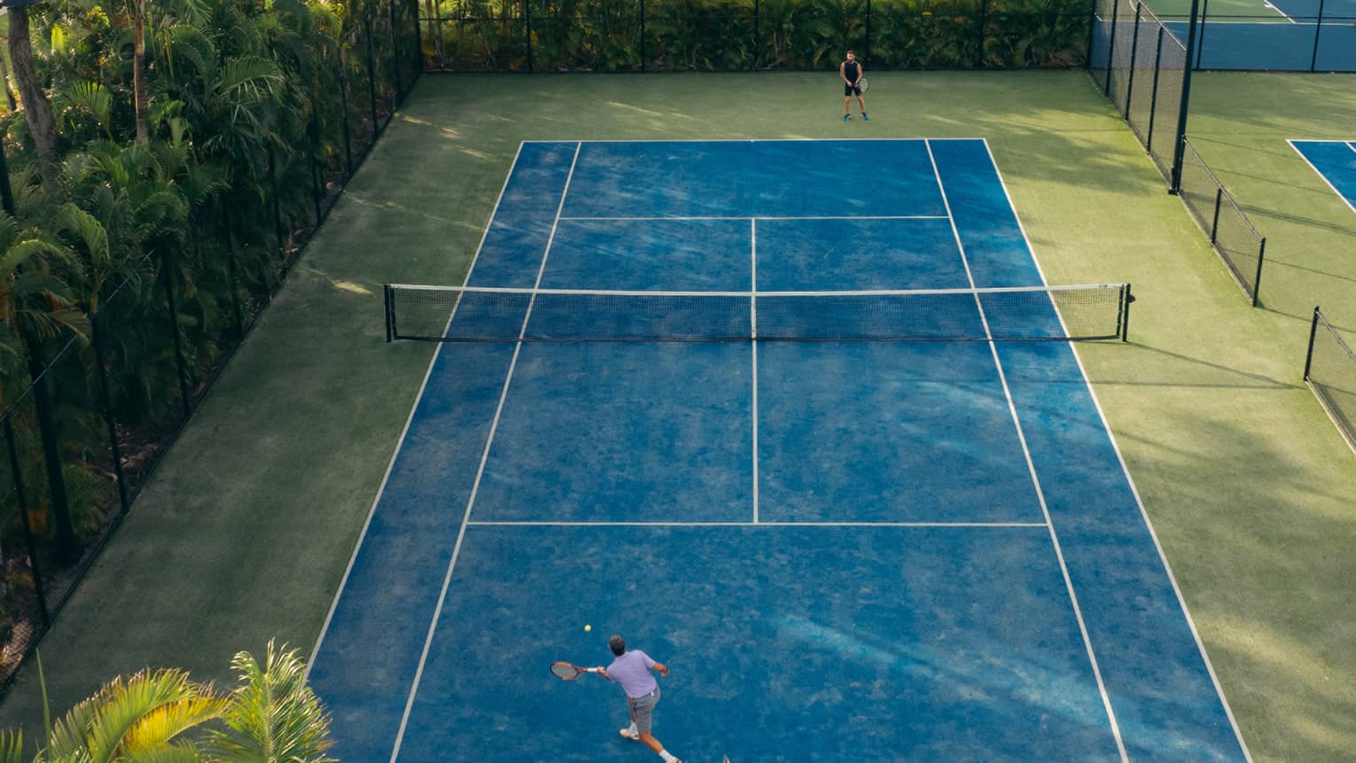 Aerial view of tennis courts with palm trees around it