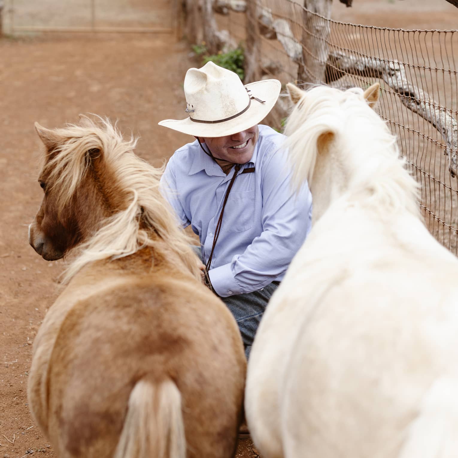 Person wearing jeans, blue button-down shirt and white cowyboy hat sits next to two horses ? one white, one brown ? next to a fench on a ranch