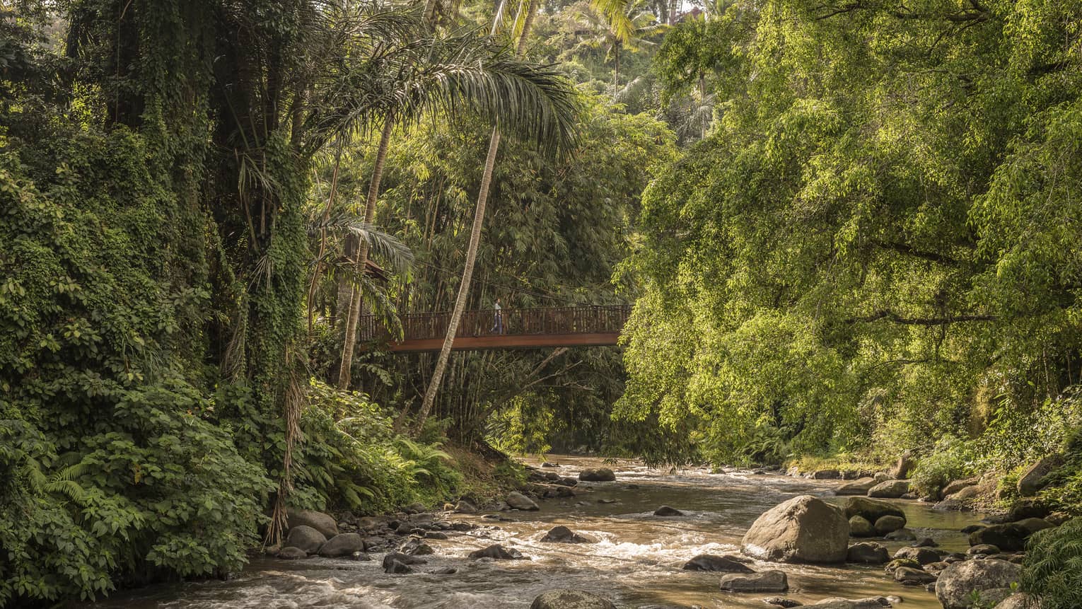 Sayan Bridge extends over a roaring river that flows around rocks and is surrounded by lush vegetation