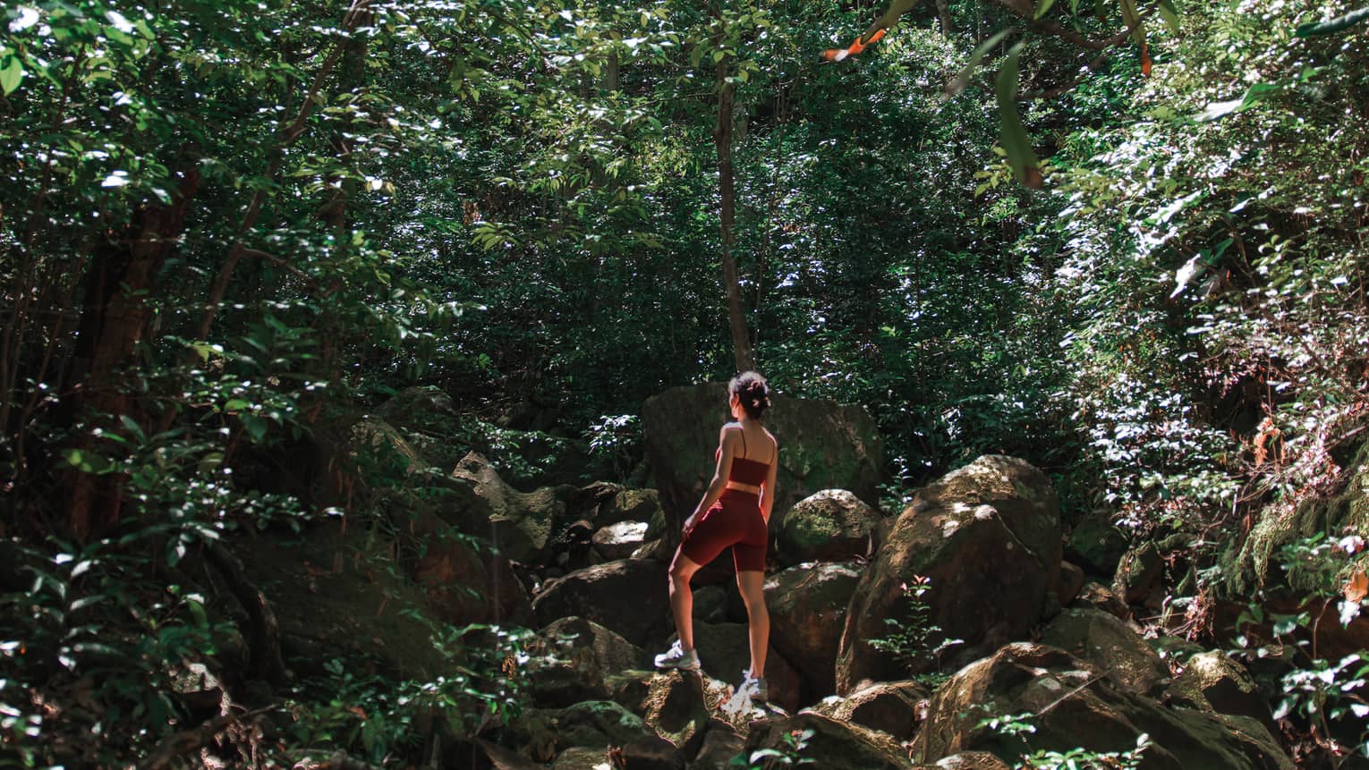 Woman in athletic wear standing atop a rocky hill and surrounded by green forest