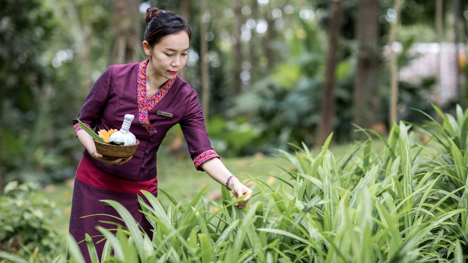 Spa assistant director holds basket, picks blades of grass from garden