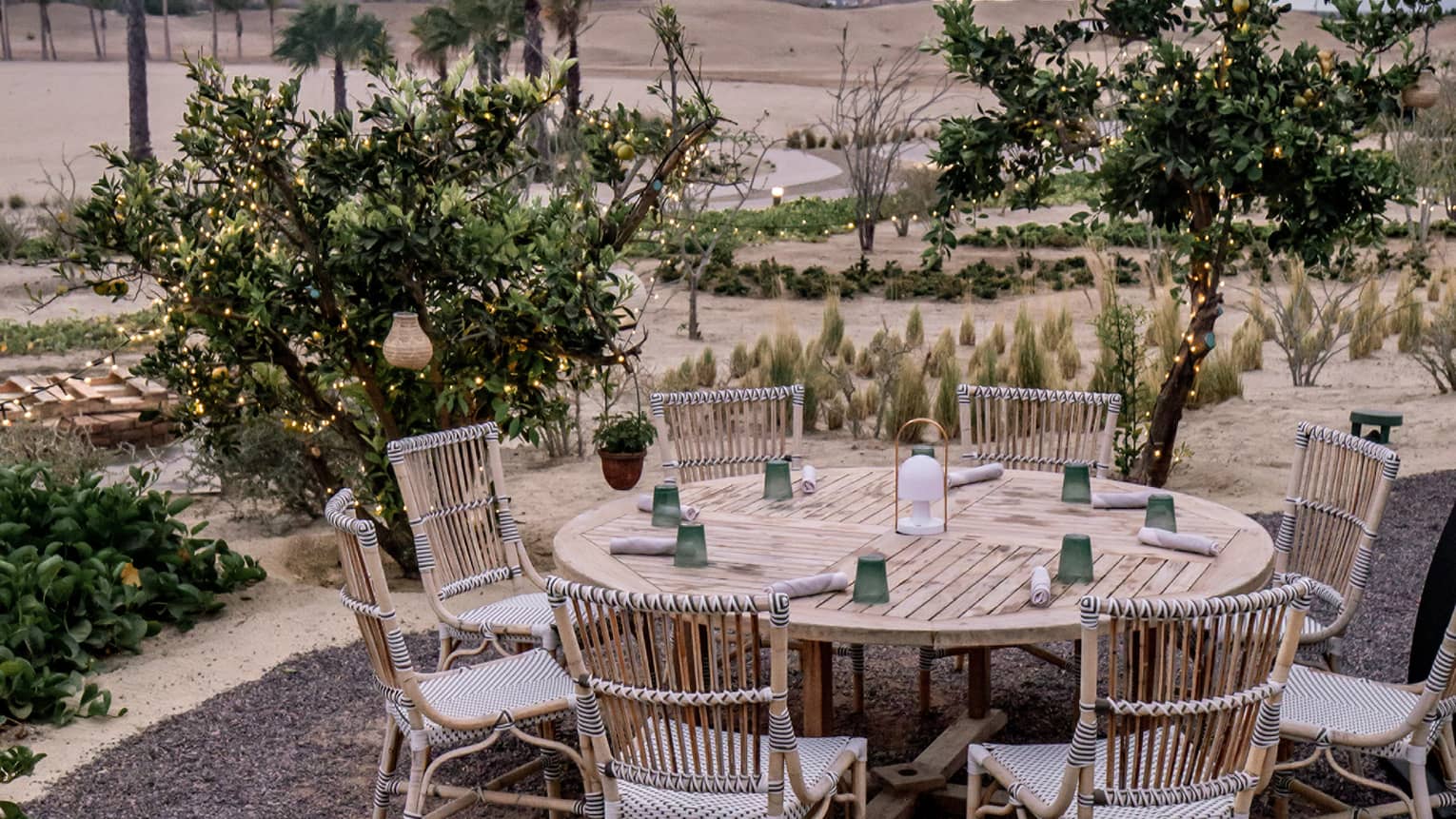 A round wooden table outside surrounded by wooden chairs, small trees, and sand.