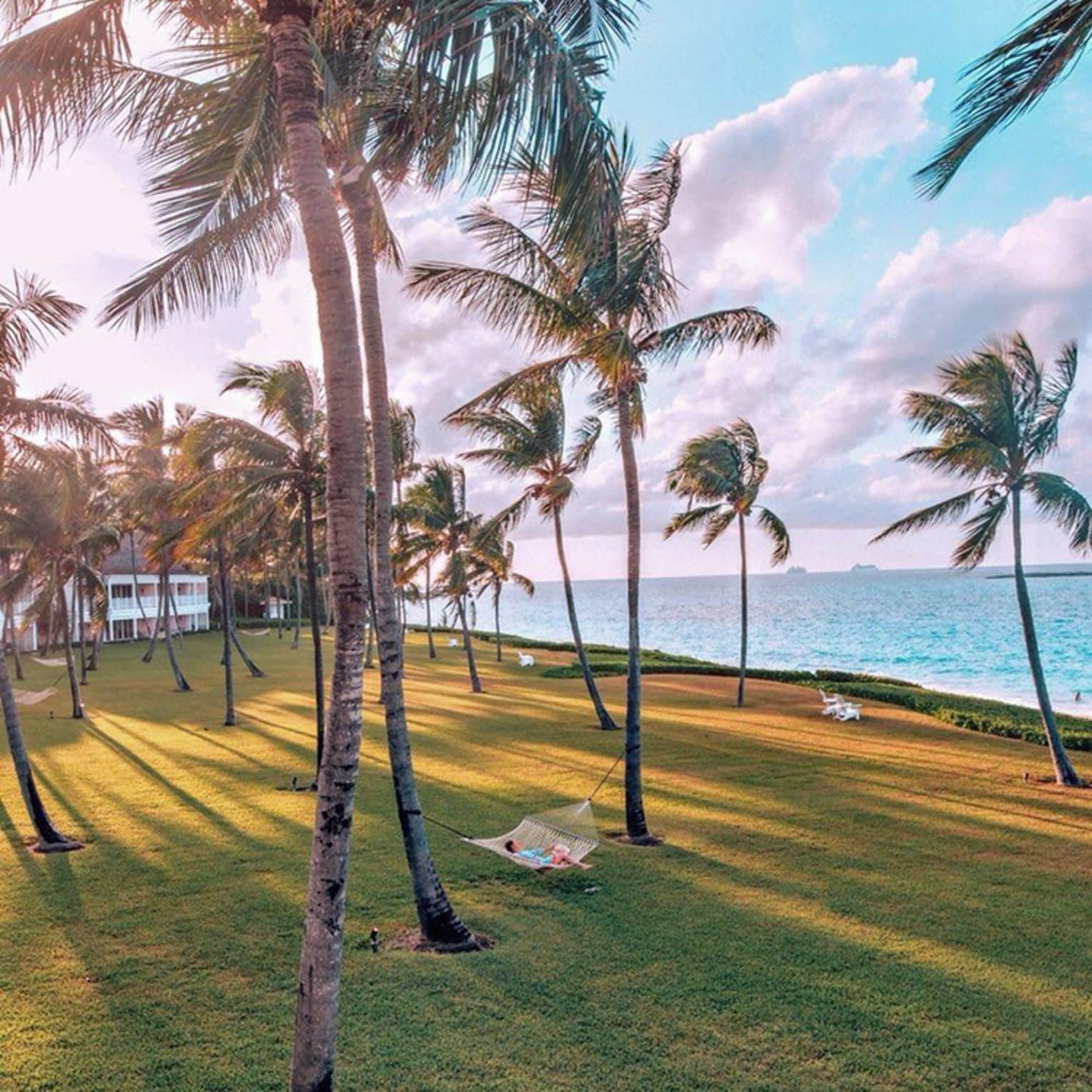Scenic view of palm trees on a lawn with a hammock, overlooking the ocean under a vibrant sky with soft clouds