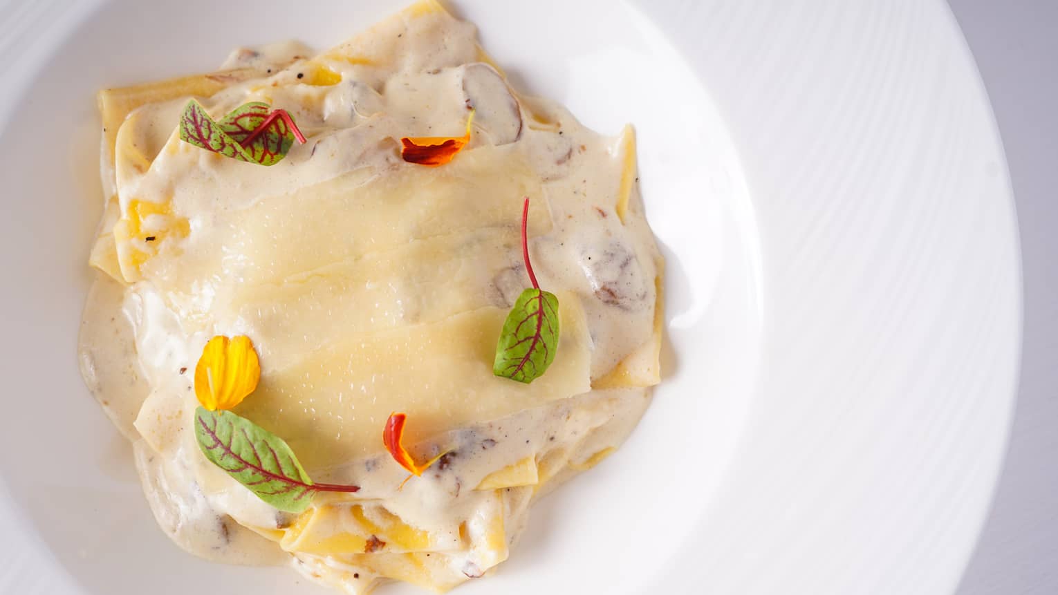Homemade Free-Shaped Pasta, Porcini Mushroom, Truffle Parmesan Cream