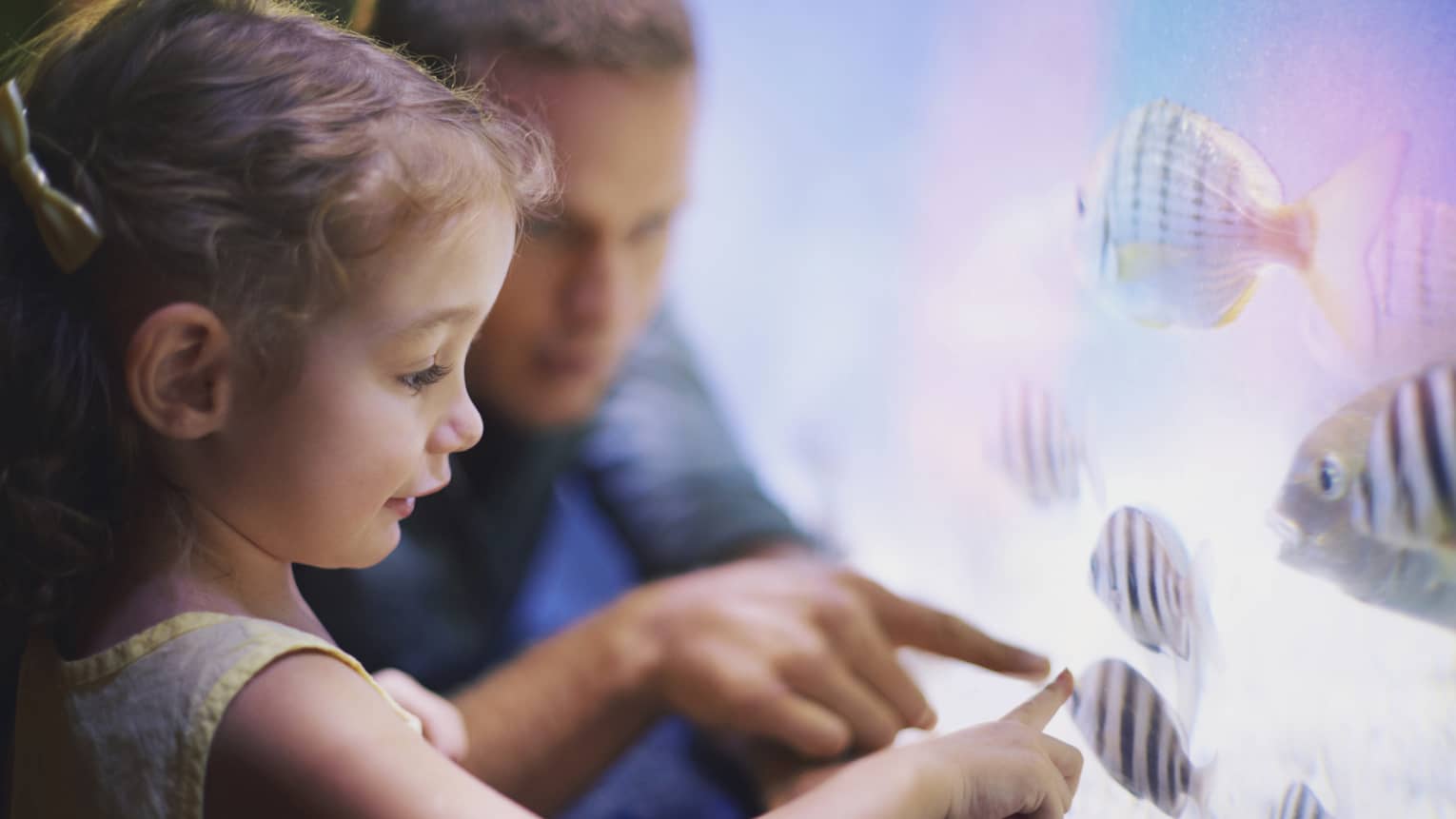Close-up of man, little girl pointing to tropical fish in tank