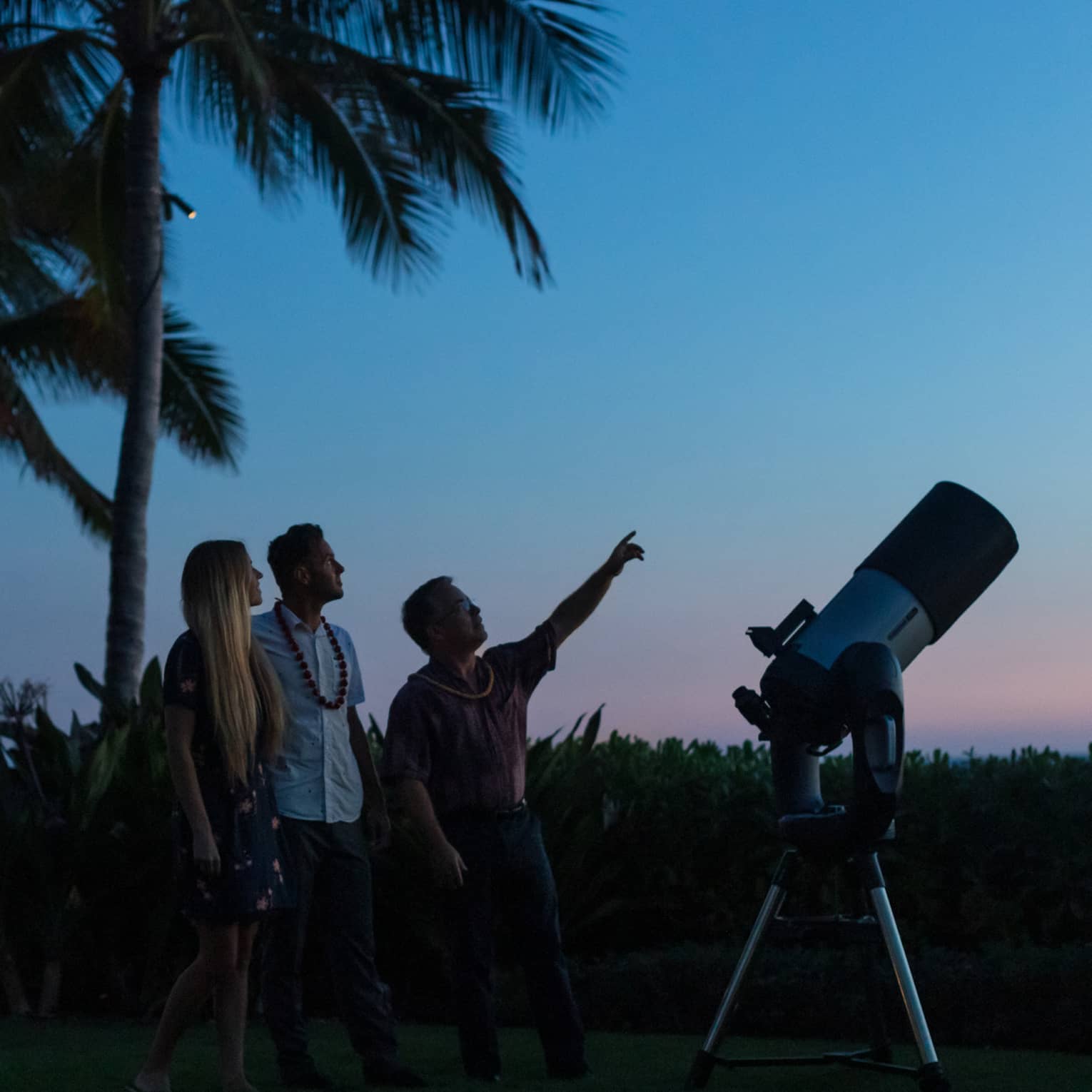 Silhouetted amid palm trees and a telescope, a guide points at the sky as two guests look up, a lit-up gazebo behind them.