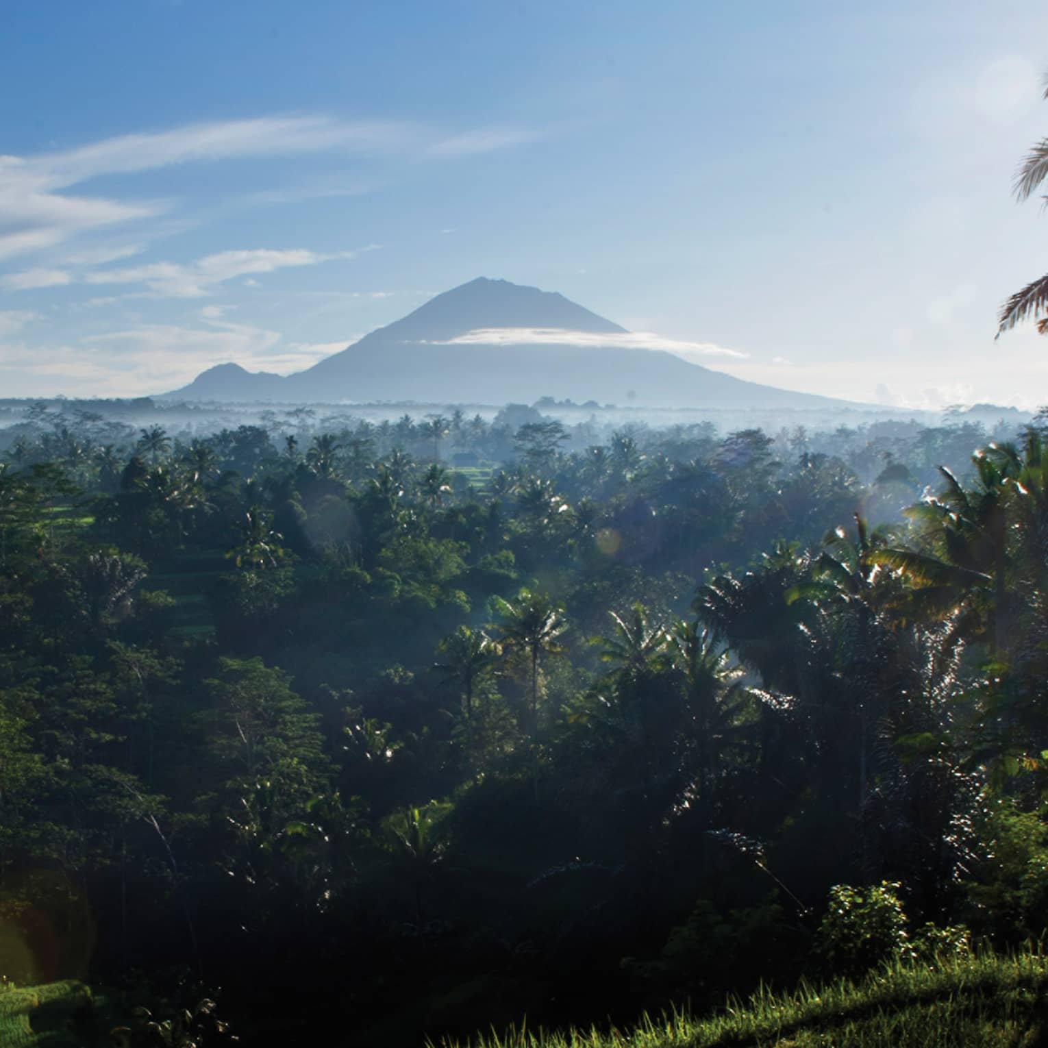 Distant volcanoes rise above the clouds and loom over a dense palm tree forest bathed in the glow of a blazing white sun.