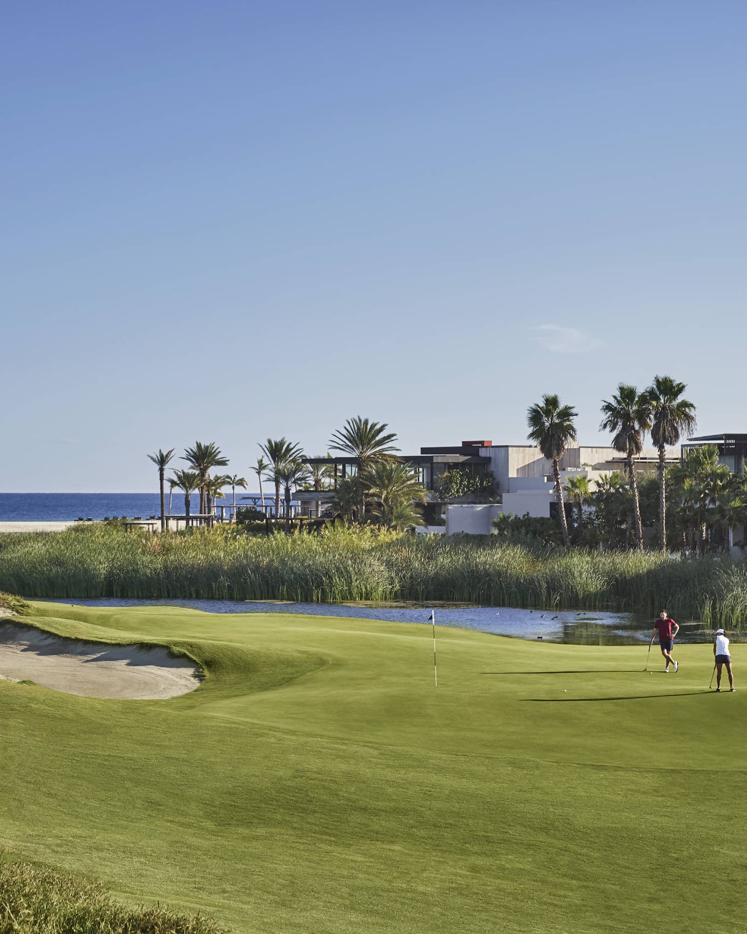 Two golfers putting with the landscape and ocean around them