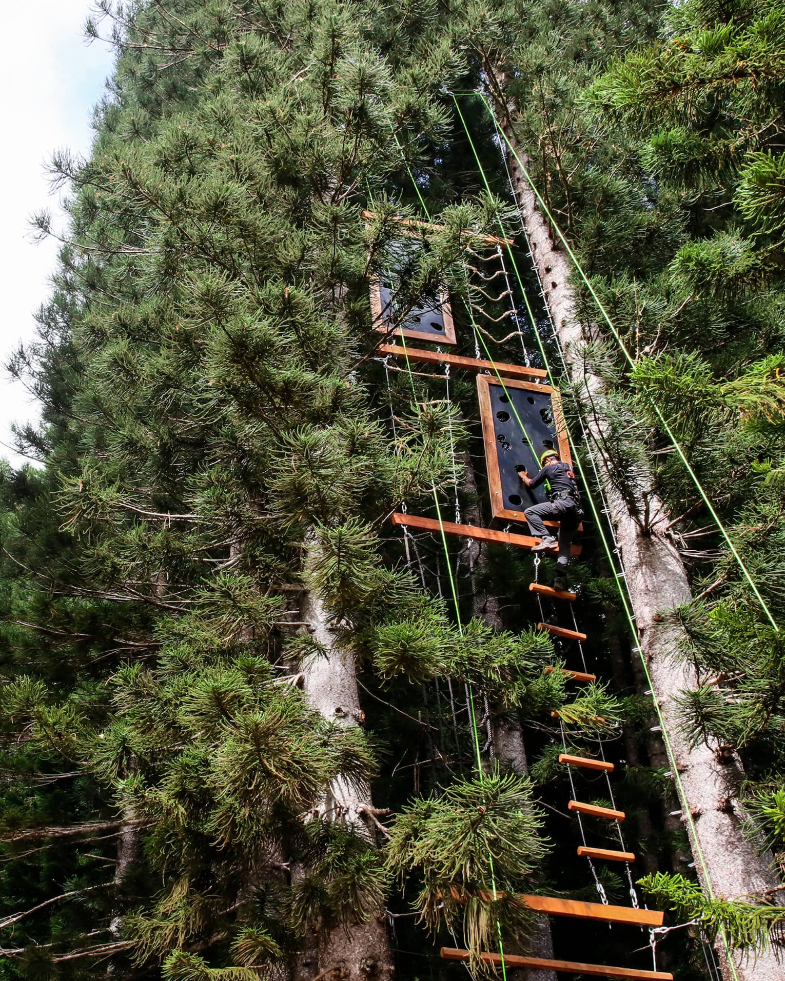 View from below of a climber gripping a plank by an open handhold on a vertical obstacle course in a dense pine forest.