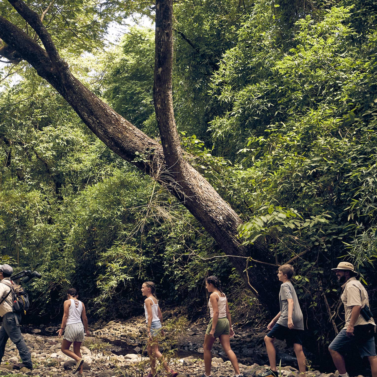 A group of people hiking through a forest.