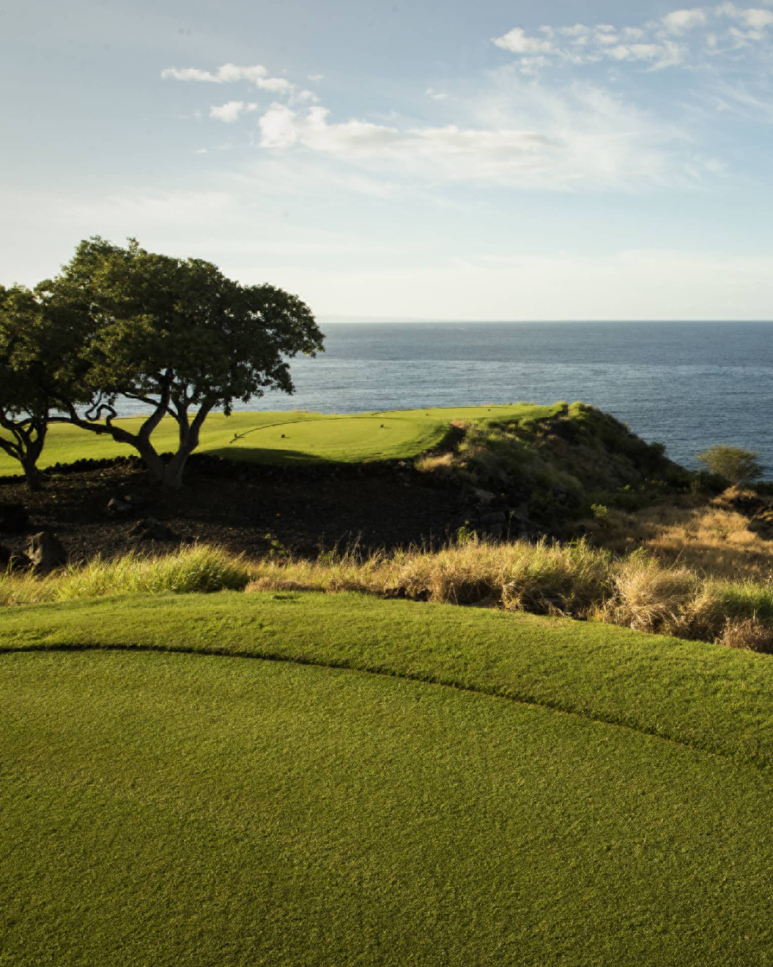 View from a manicured golf course set atop a coastline with grassy outcroppings and rocks below, ocean and clear sky beyond.
