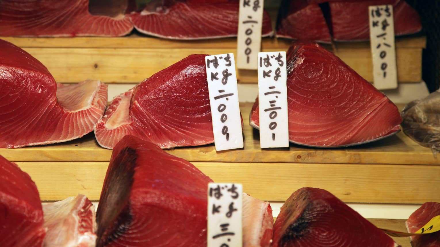 Close-up view of labelled cuts of glistening, pinky-red fresh tuna displayed on three levels of wooden risers.