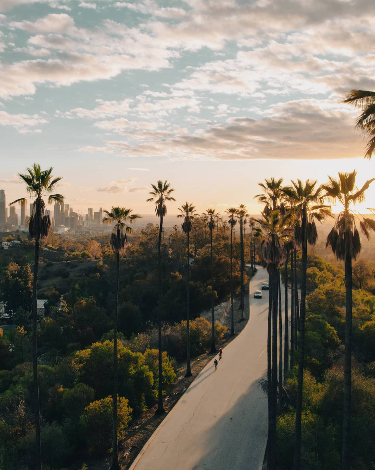 Aerial view of a road surrounded by palm trees and the city skyline
