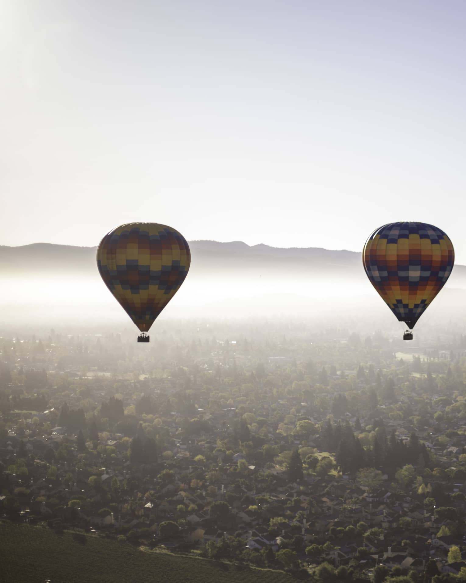 Two multi-coloured hot-air ballons float above a forested region, fog partially obscuring the mountains in the distance.