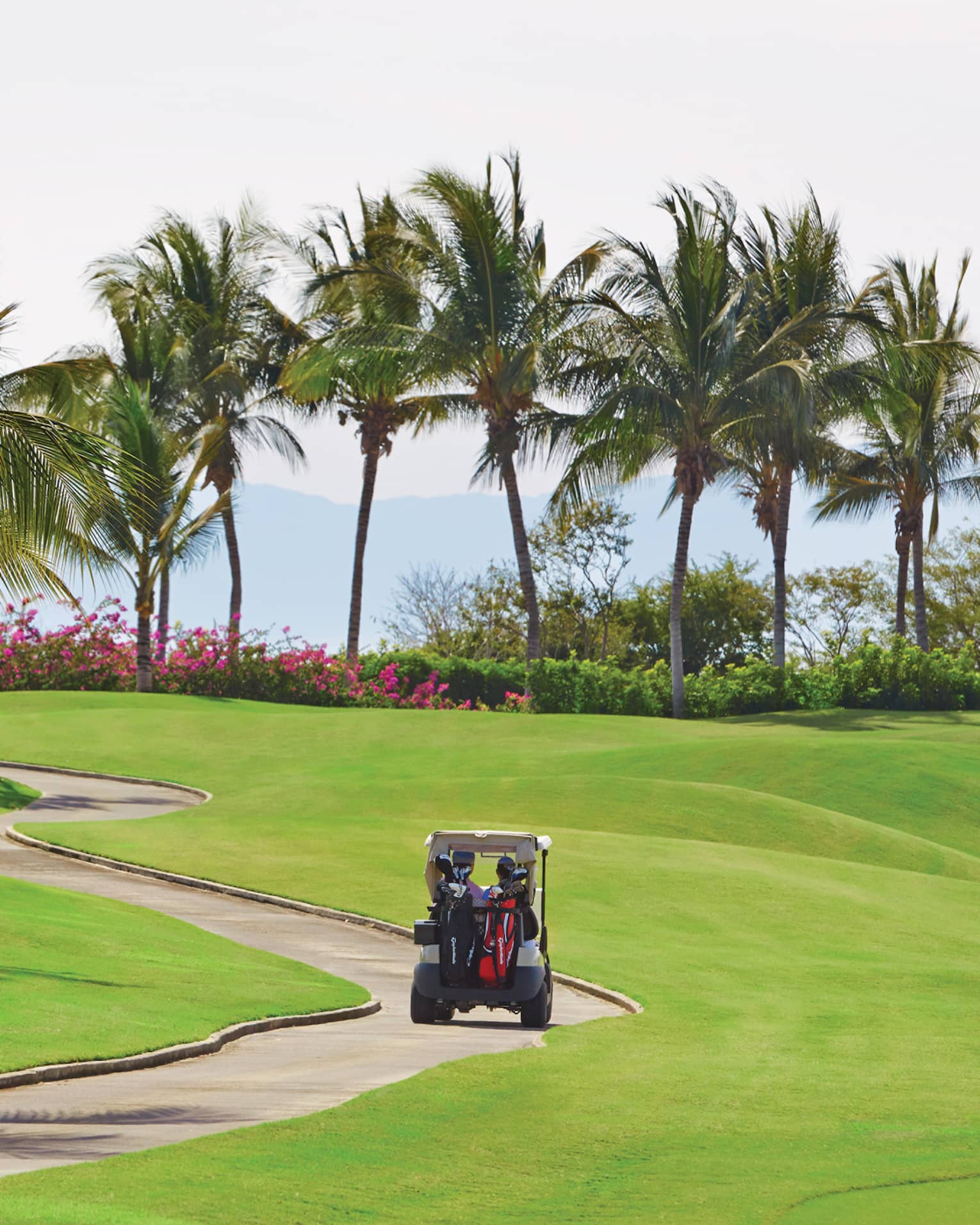 Back of golf cart driving down path on sunny golf course under palm trees