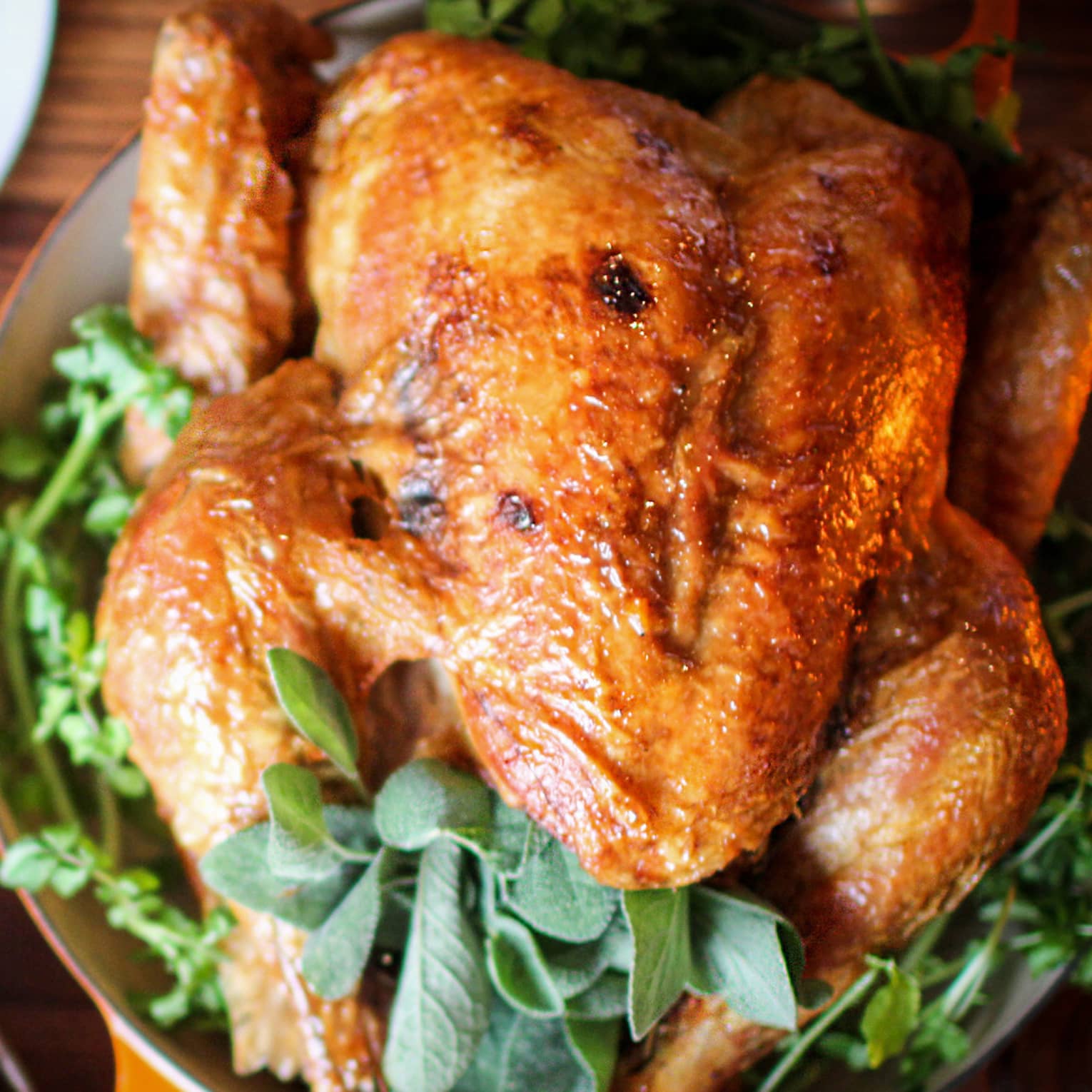Roast turkey with fresh herbs on platter, presented on wood tabletop with gourds and green beans on white plate