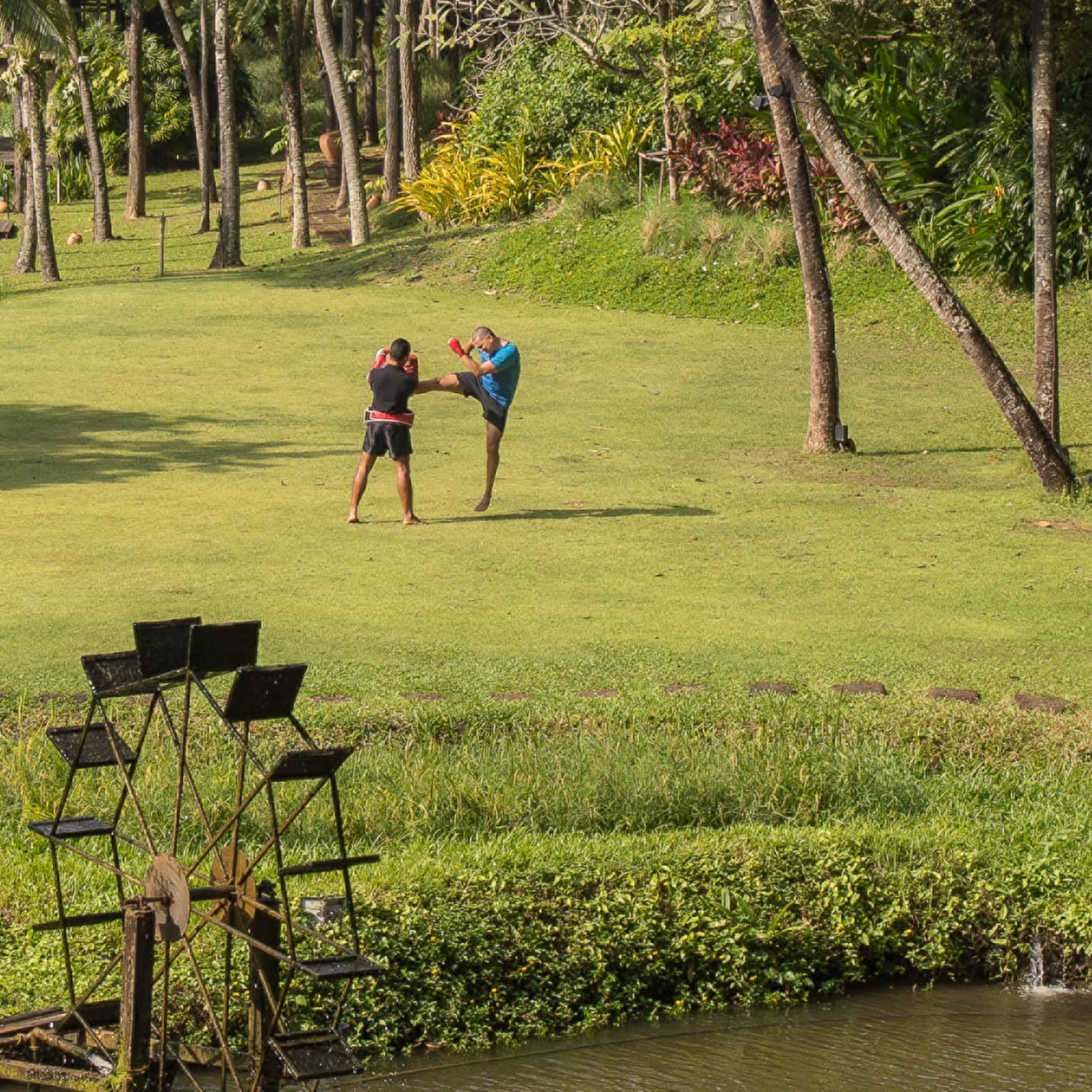 Long view of two boxers in a field, one kicking as the other blocks, dwarfed by soaring palms with a river in the foreground.