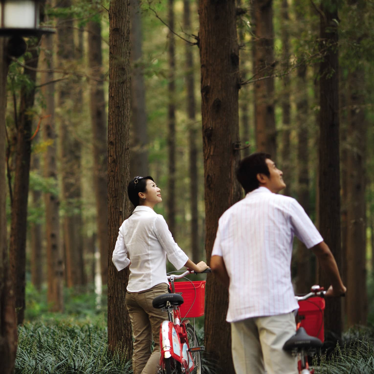 Couple walks bicycles through forest nature trail, looks up at trees