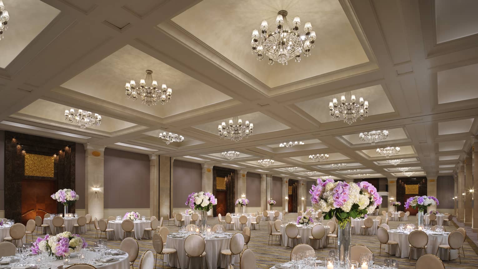 A series of banquet tables with tall hydrangea centerpieces, illuminated by over a dozen chandeliers.