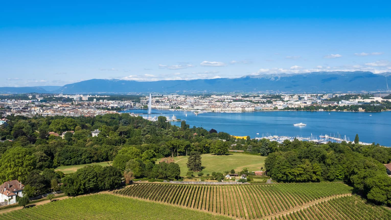 View over farm fields, trees across lake to Geneva, mountains