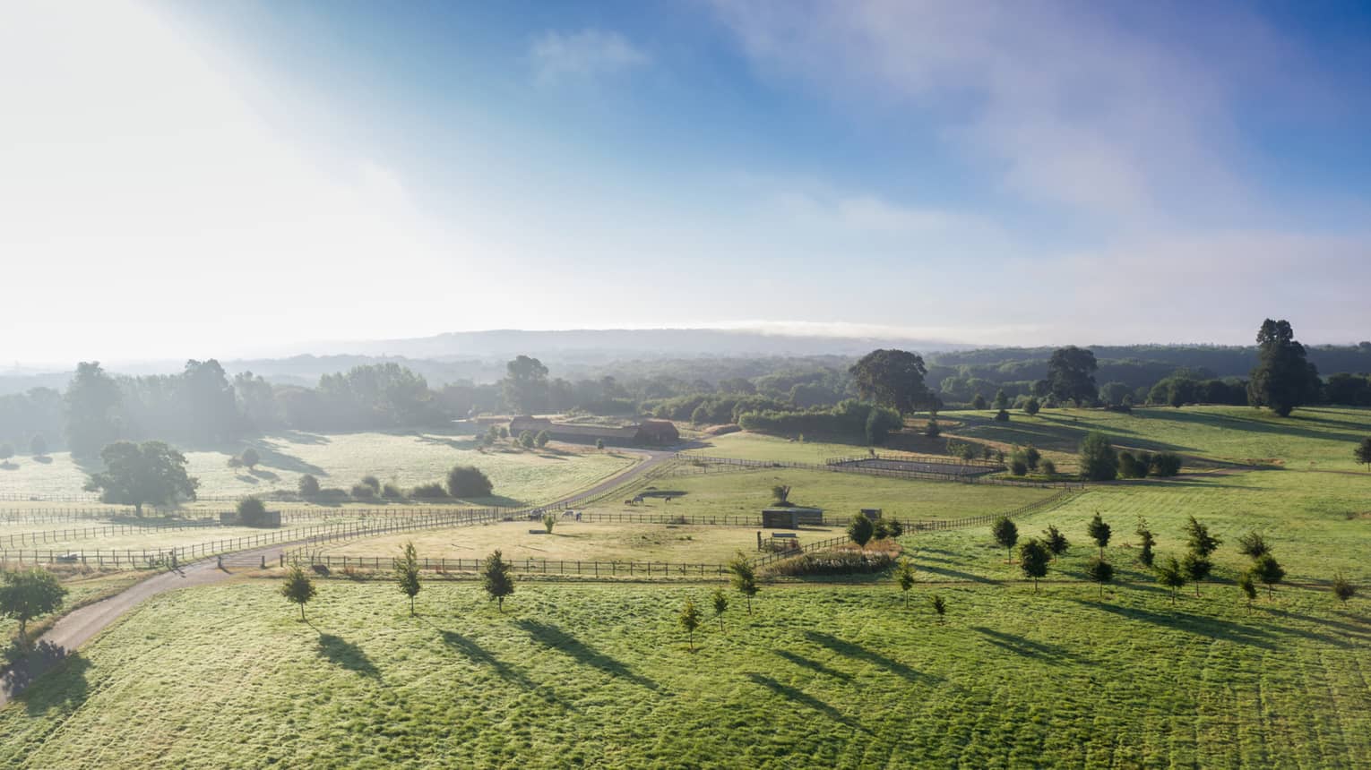 Green countryside dotted with trees under blue skies