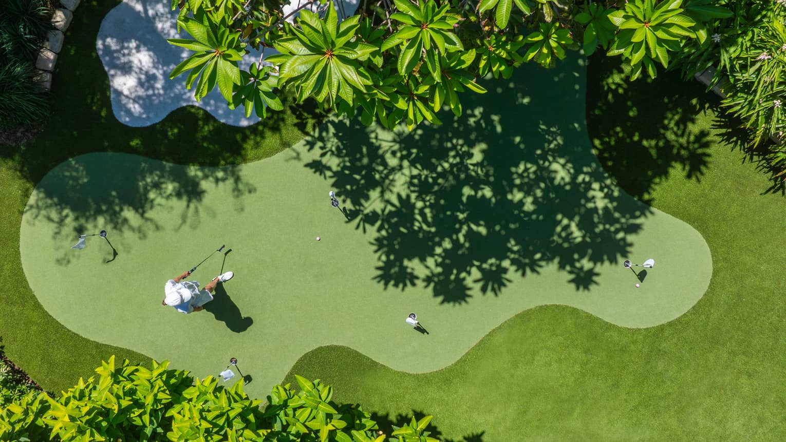 Bird's-eye view of a verdant putting green surrounded by manicured grass and palm trees