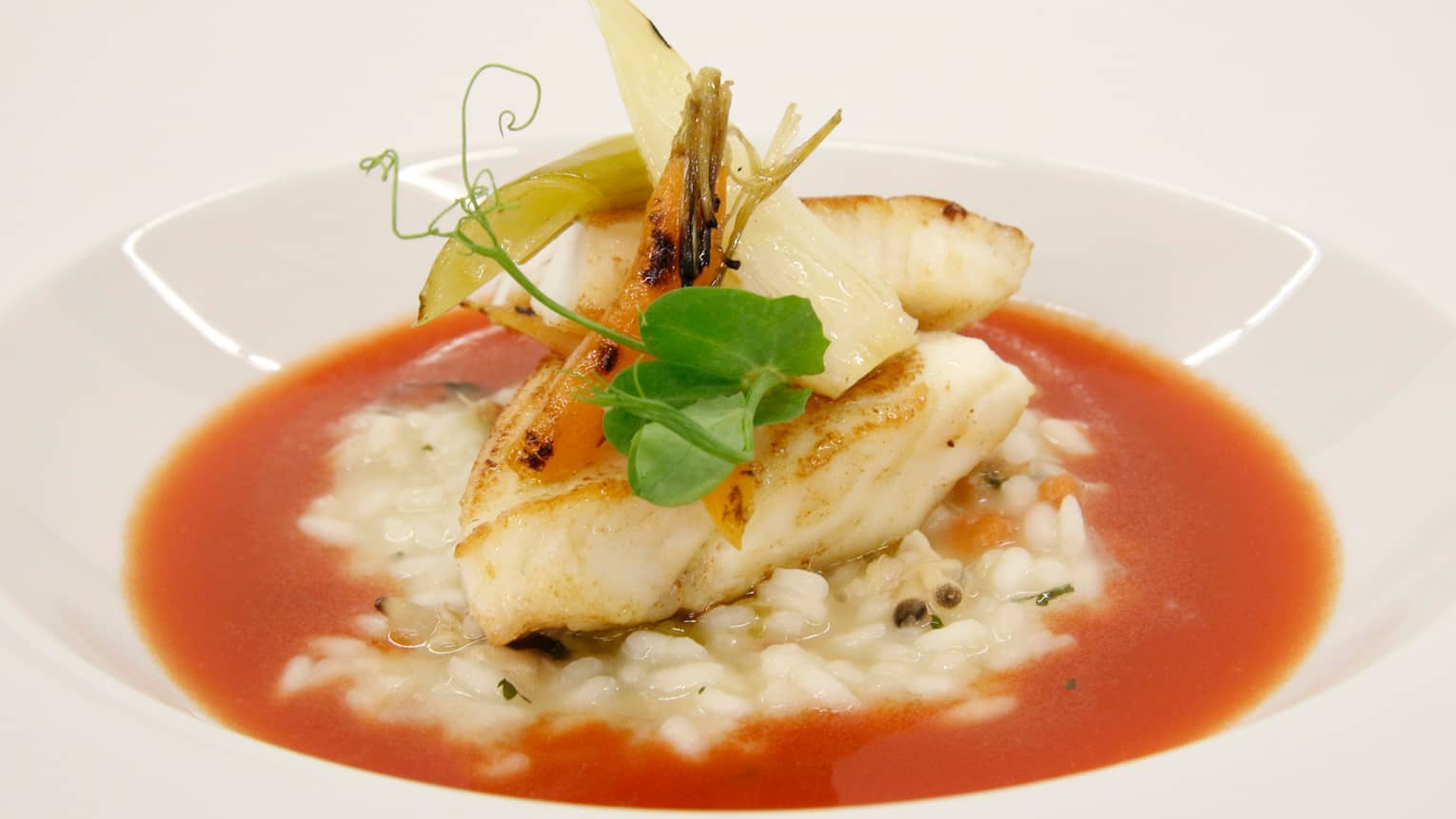 John Dory Fillet of white fish over red vinaigrette chili shiso and Japanese rice