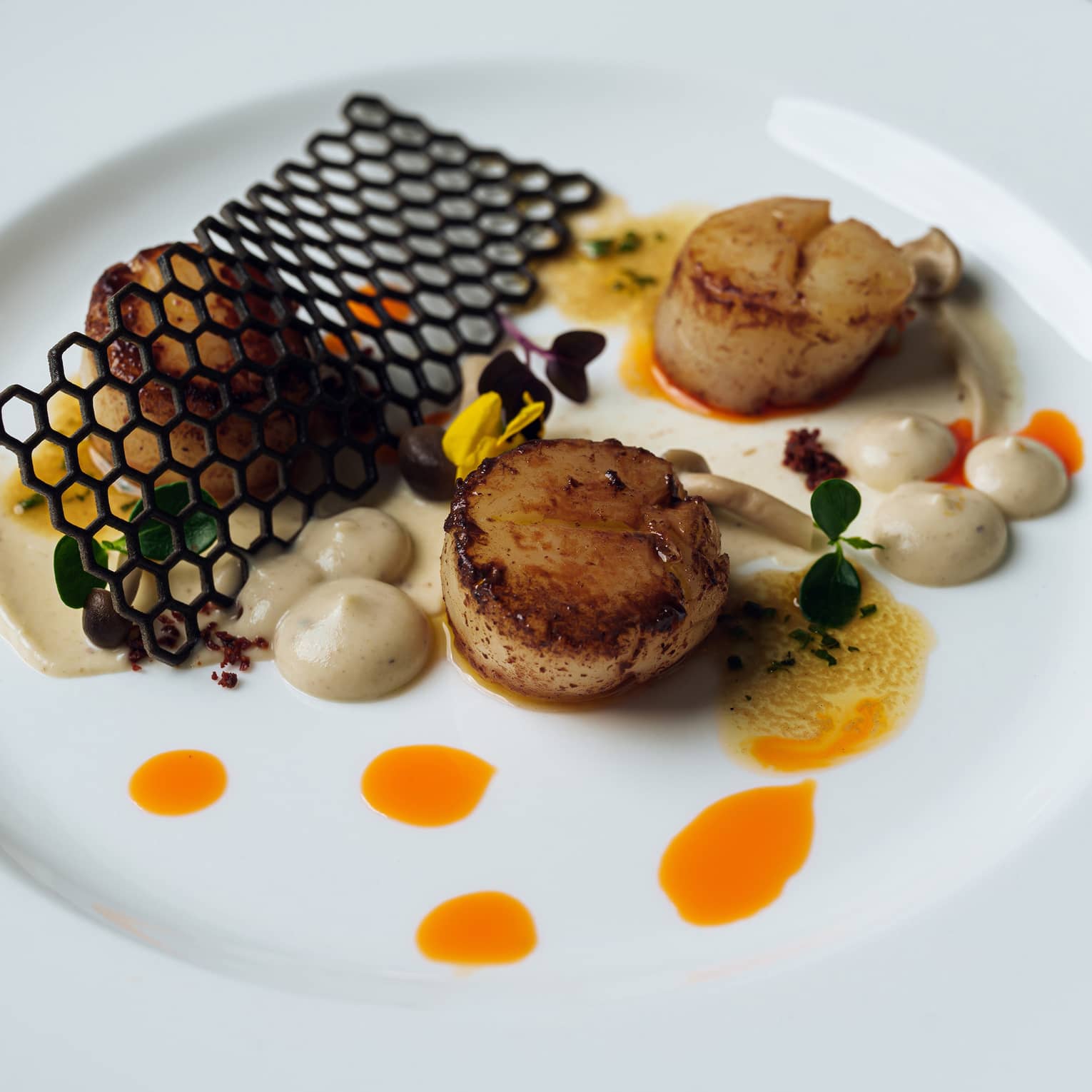 Seared scallops with garnish on a white plate