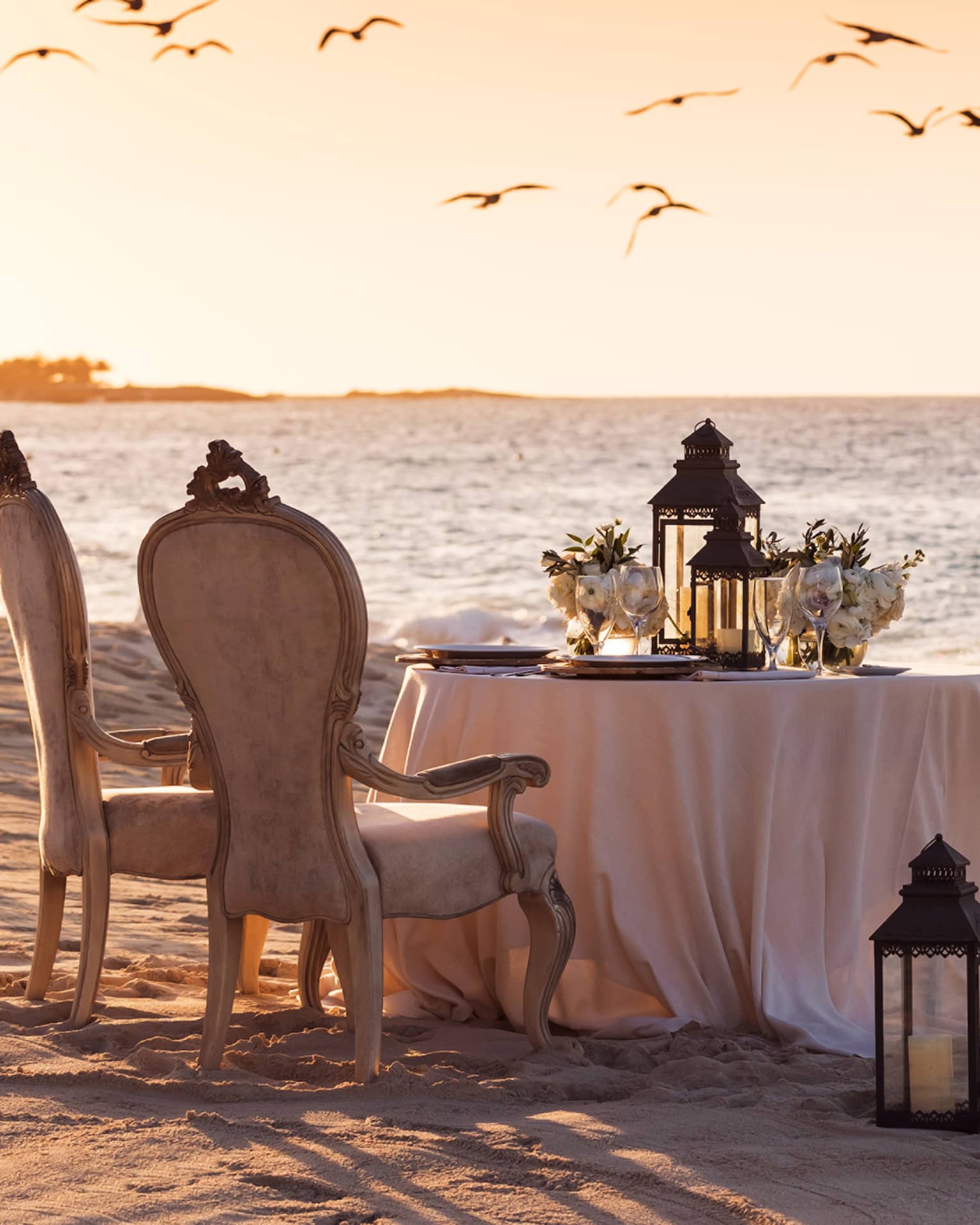 Silhouettes of birds flying over beach, private dining table for two on beach at sunset