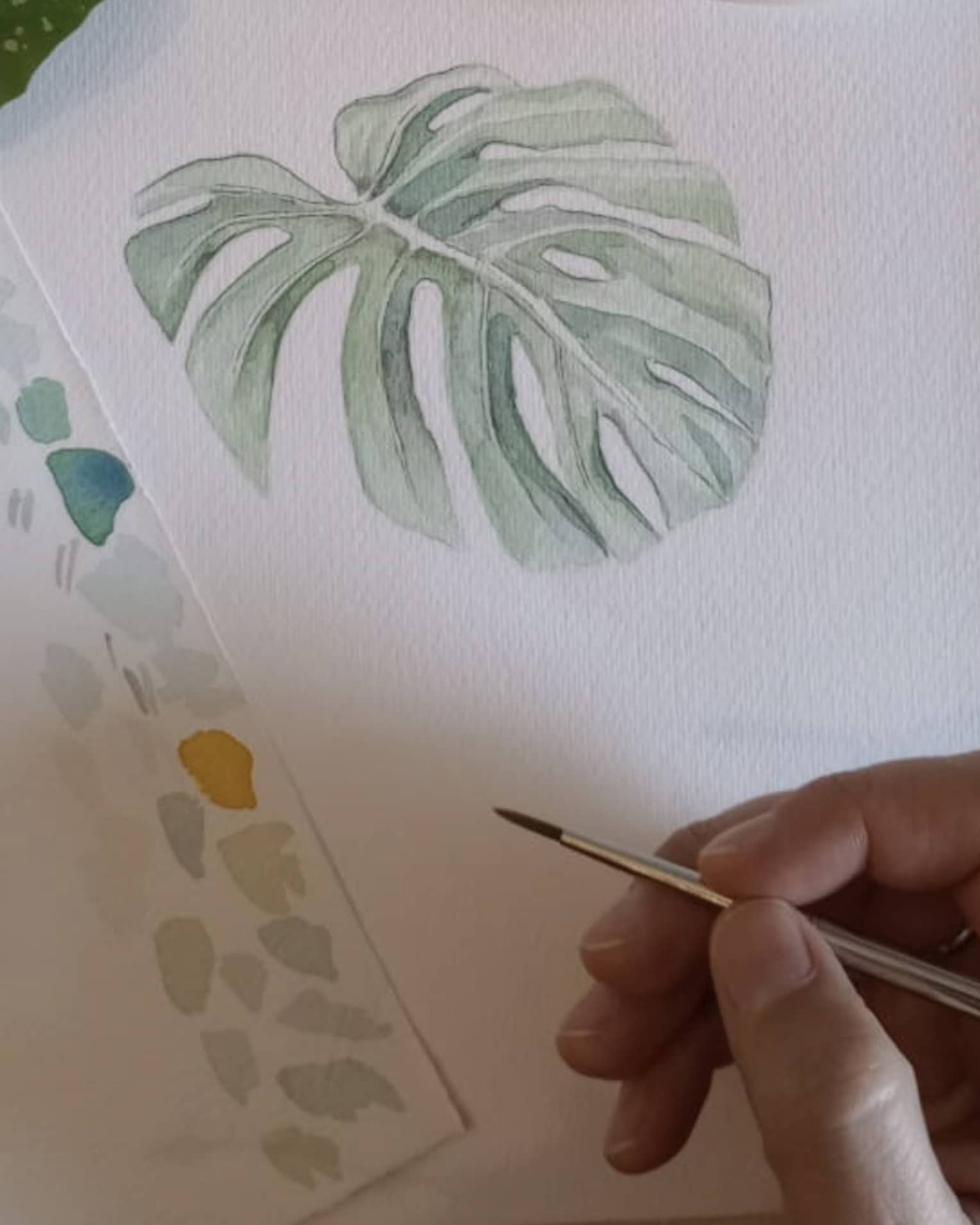 Watercolour painting of a green leaf.