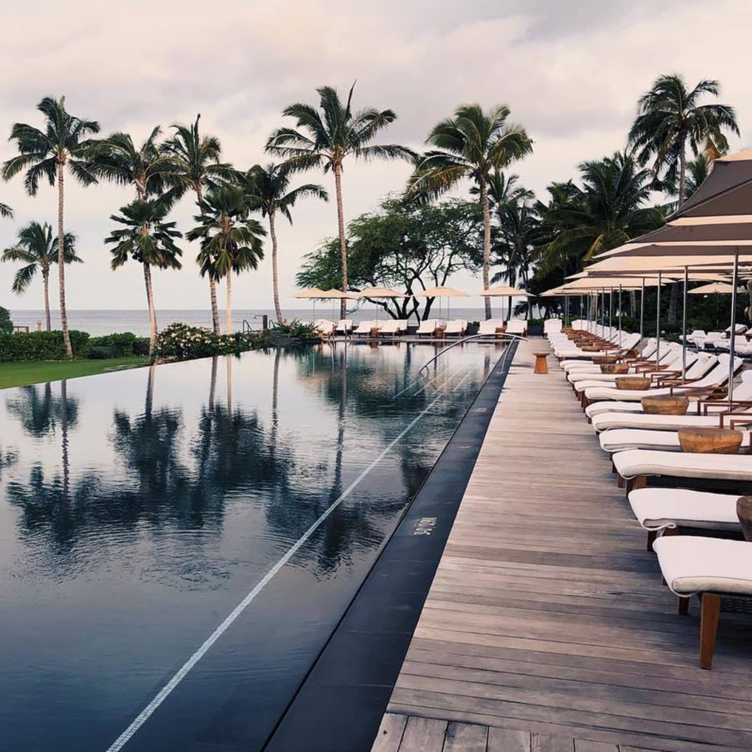 Tall palm trees reflected on outdoor swimming pool lined with lounge chairs