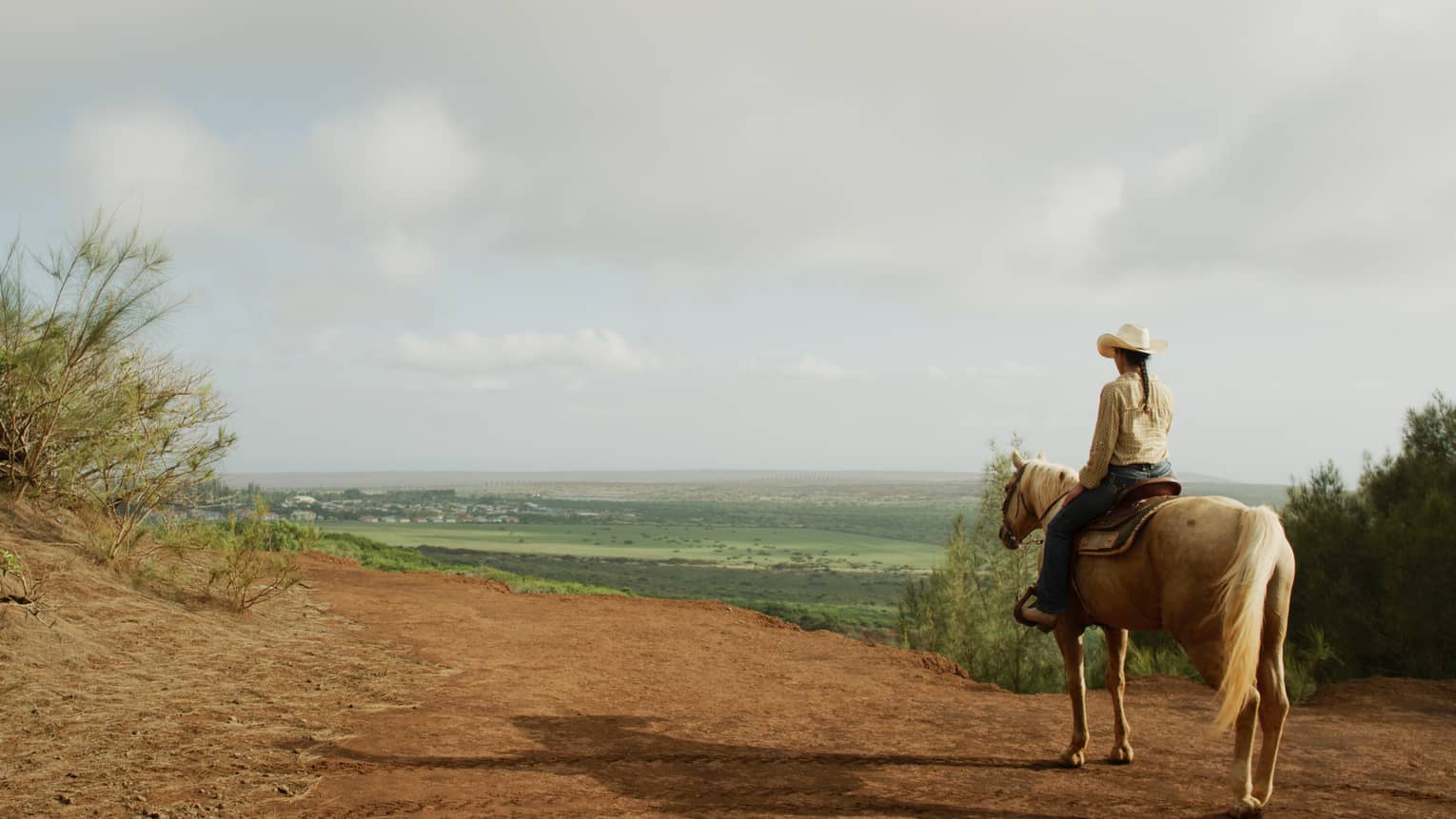 On a dirt track bordered by brush, rear view of a person on a golden horse viewing a green valley with distant houses beyond.