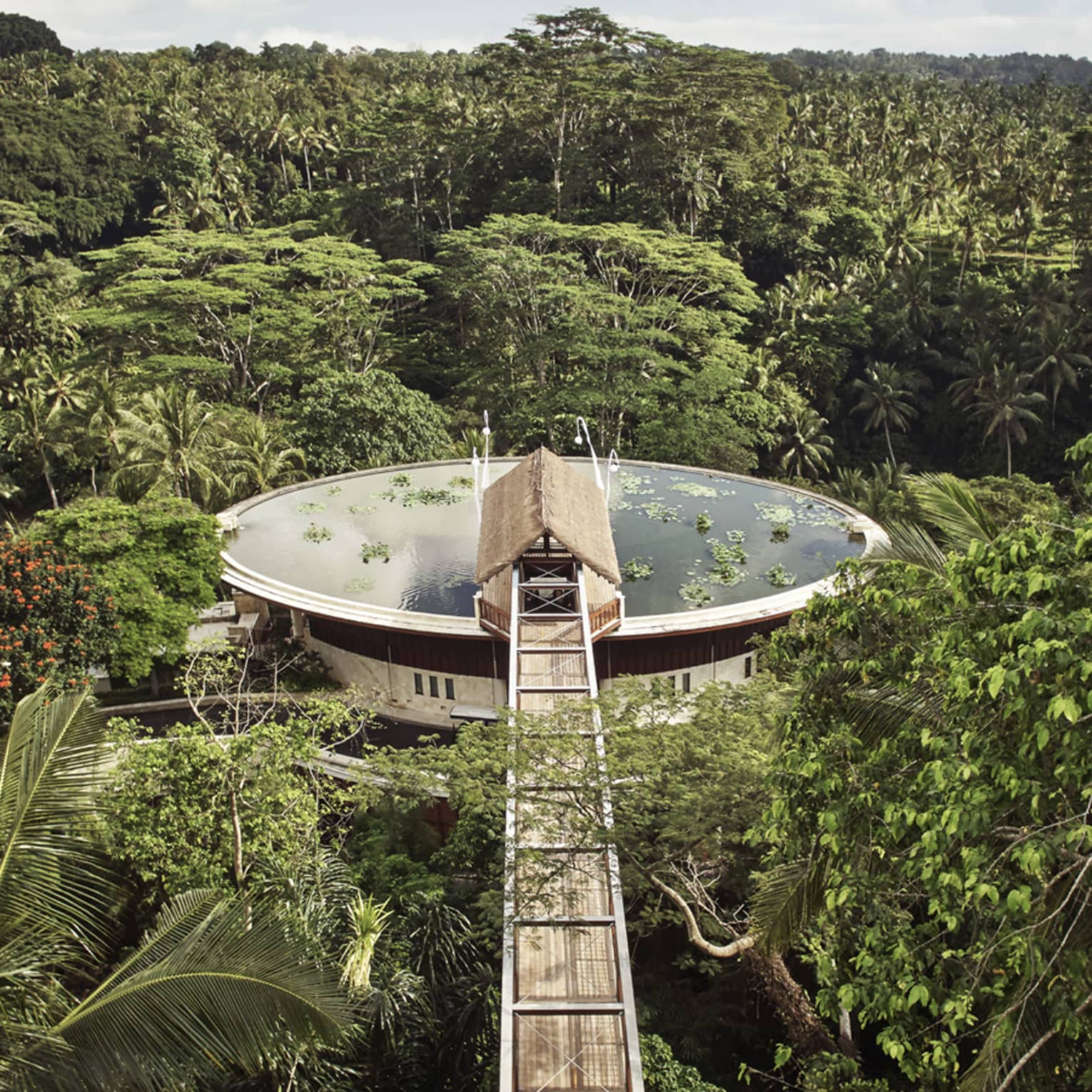 Aerial view of large water-filled lotus pond rooftop pool surrounded by lush palms and forest, long wood footbridge