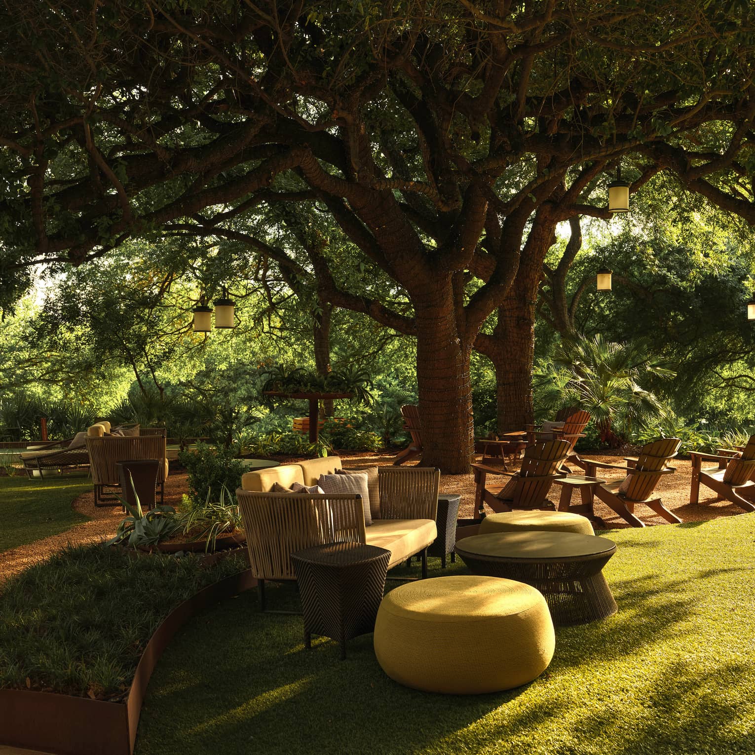 An outdoor sitting area below trees with couches and lawn chairs