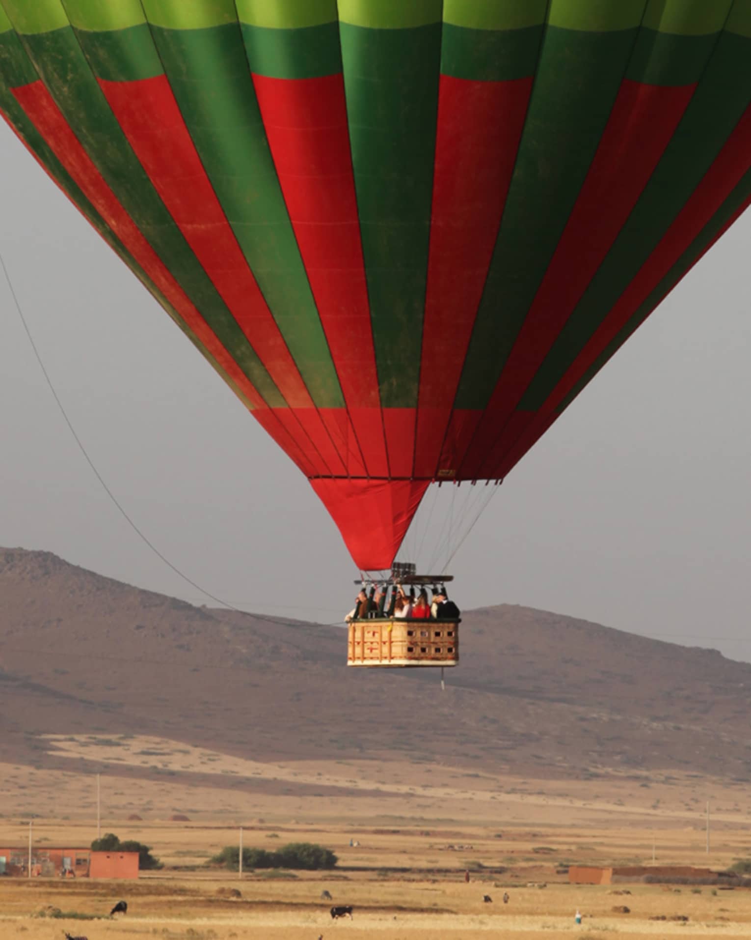 Man stands in field under large green and red hot air balloon