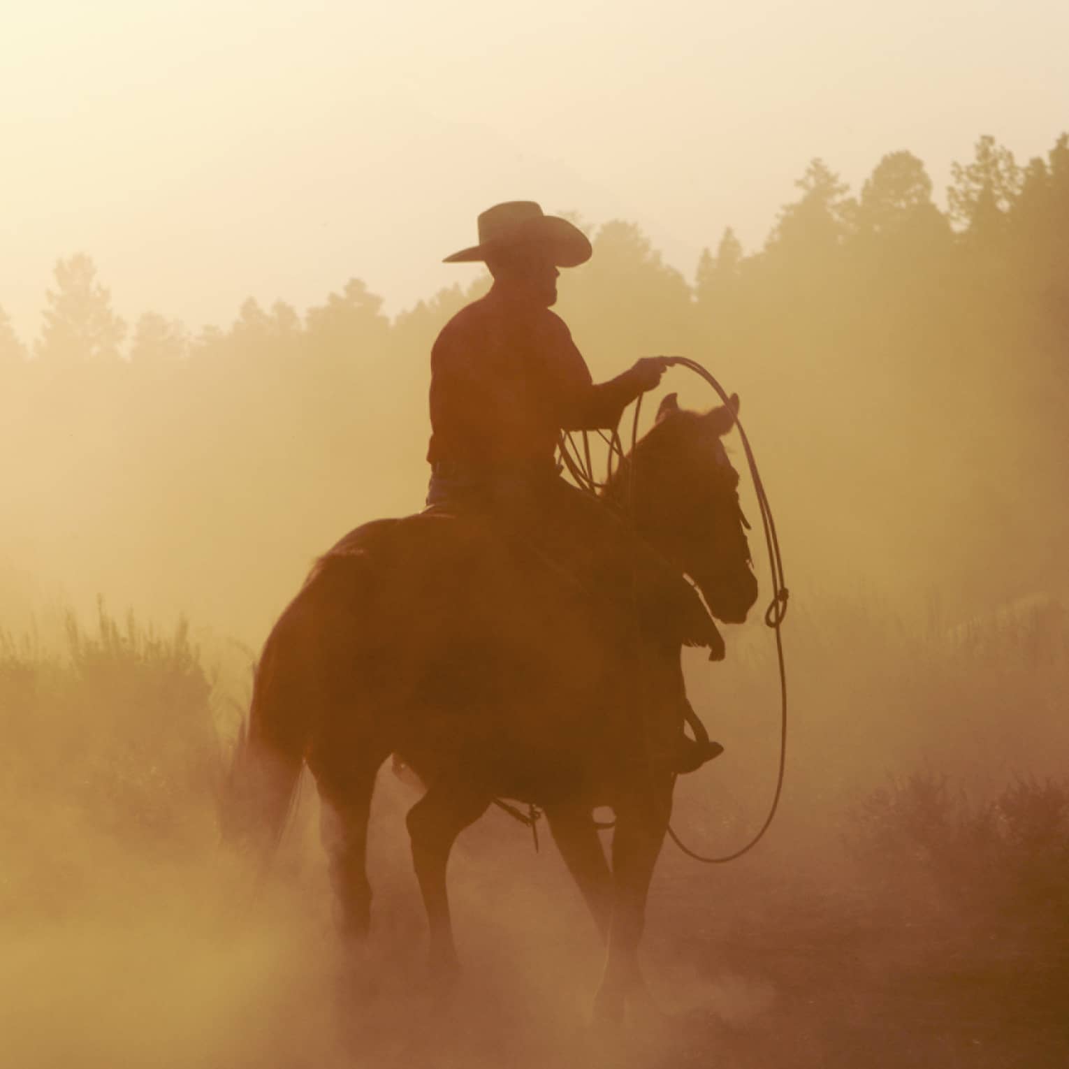 Silhouette of cowboy with rope on horse in misty mountain forest