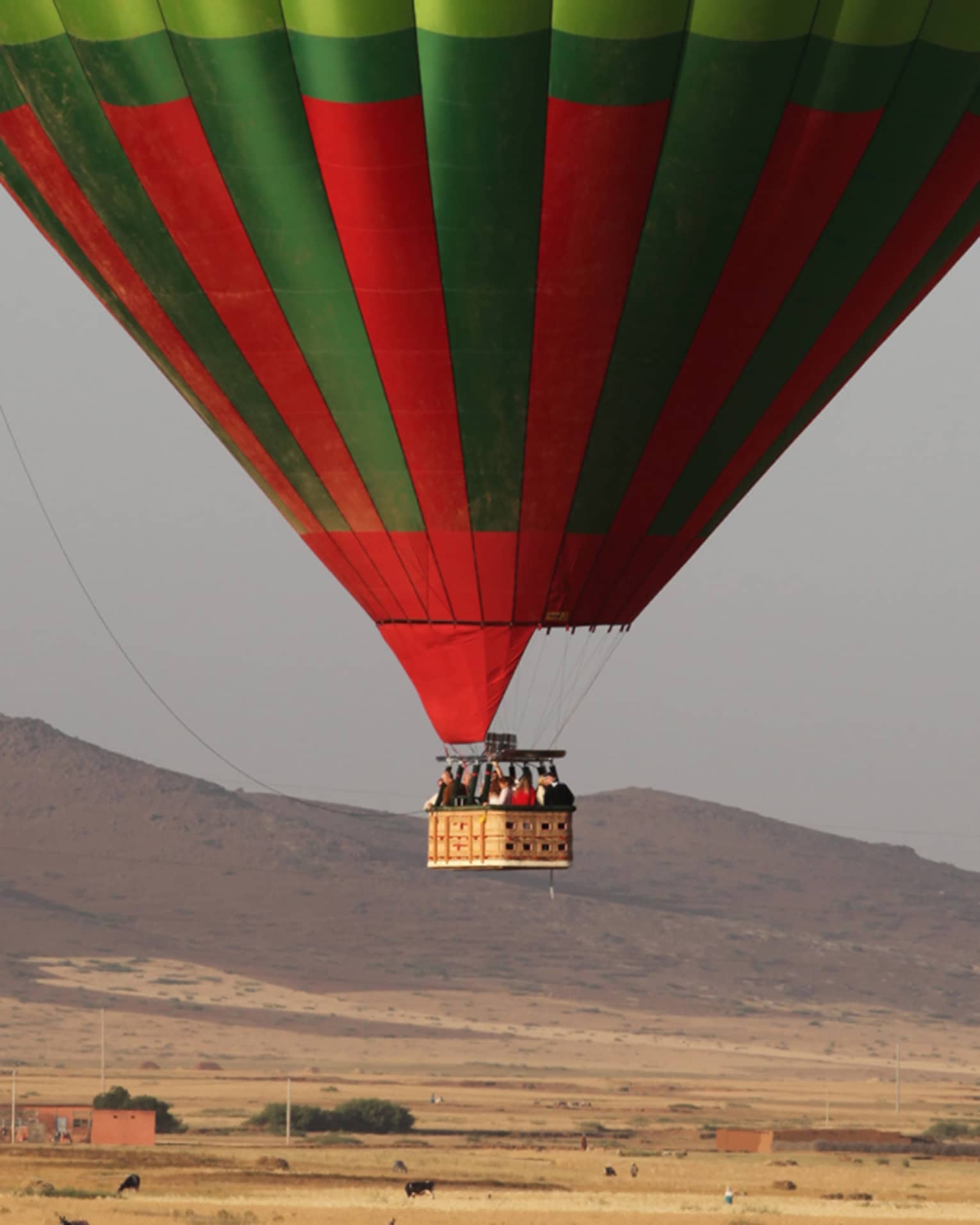 Man stands in field under large green and red hot air balloon