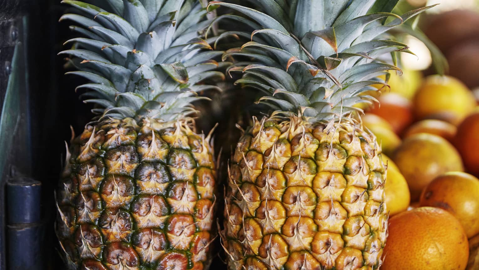 Two whole pineapples next to oranges on table