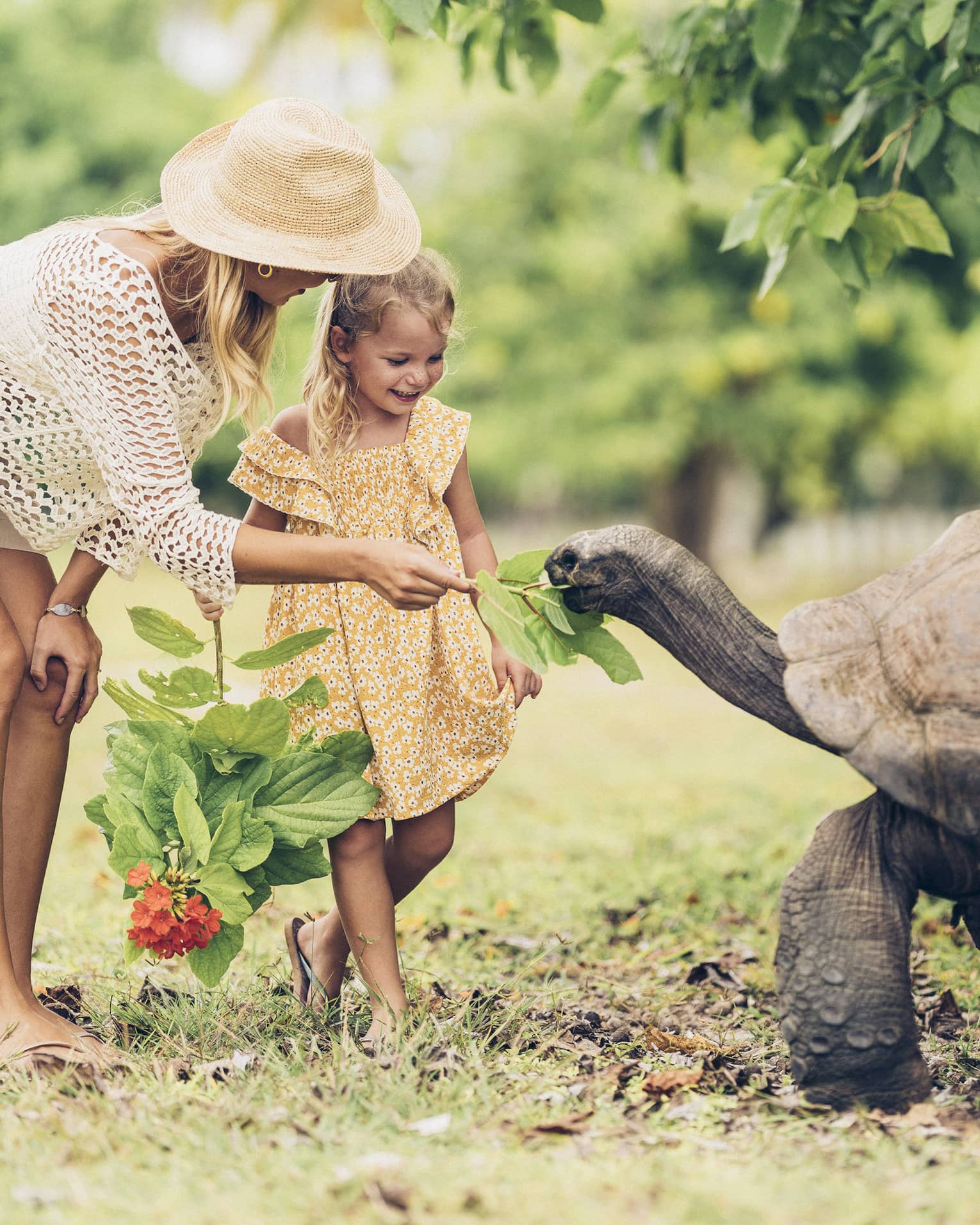 A parent feeds leaves to a giant tortoise as tall as the midsection of the smiling child holding another leafy branch.