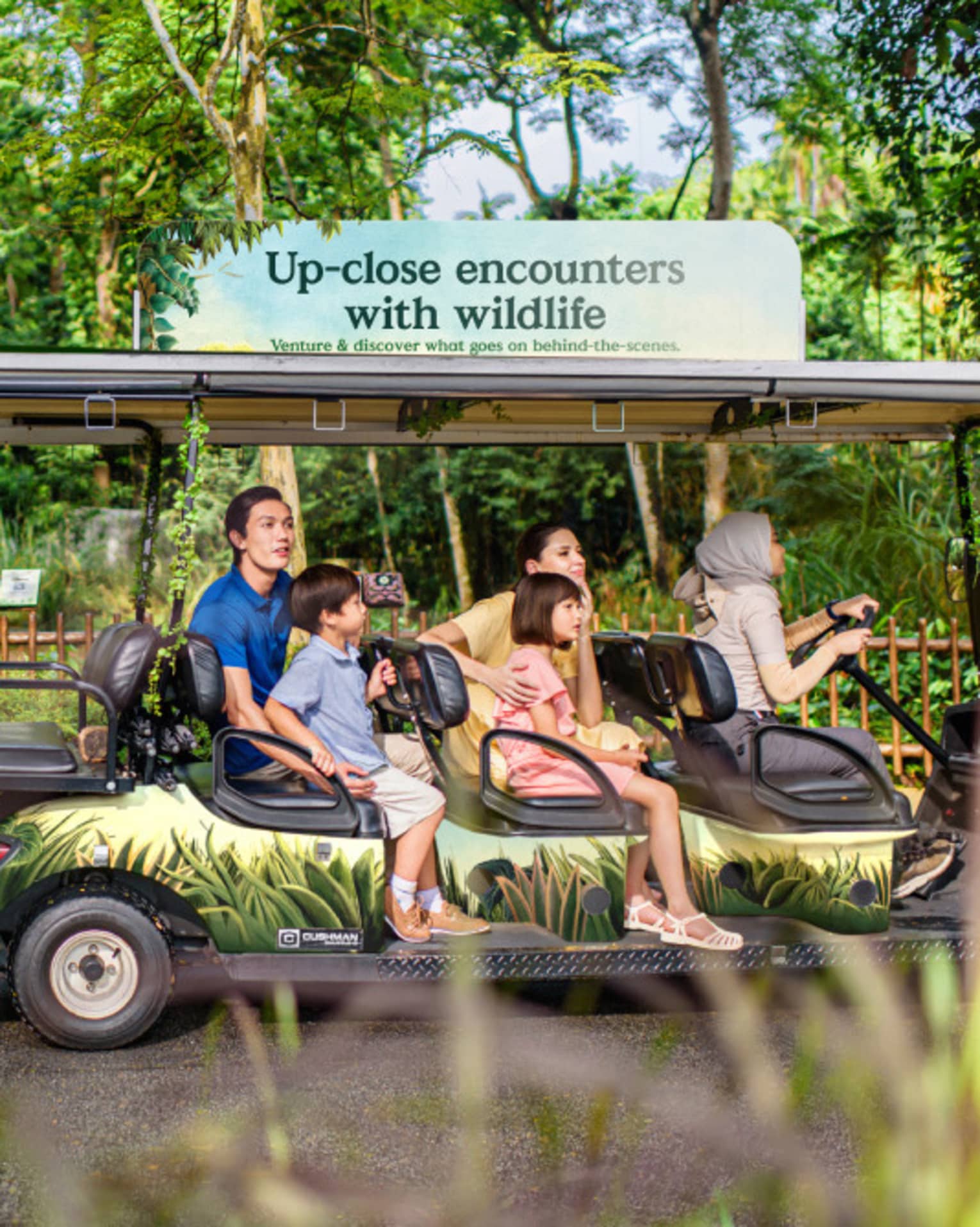 Surrounded by lush greenery, four guests are chauffeured in a large golf cart past an exhibit with two cheetahs.
