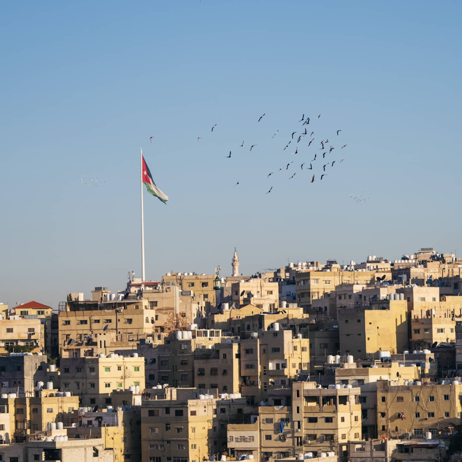 A group of birds fly over the Amman skyline