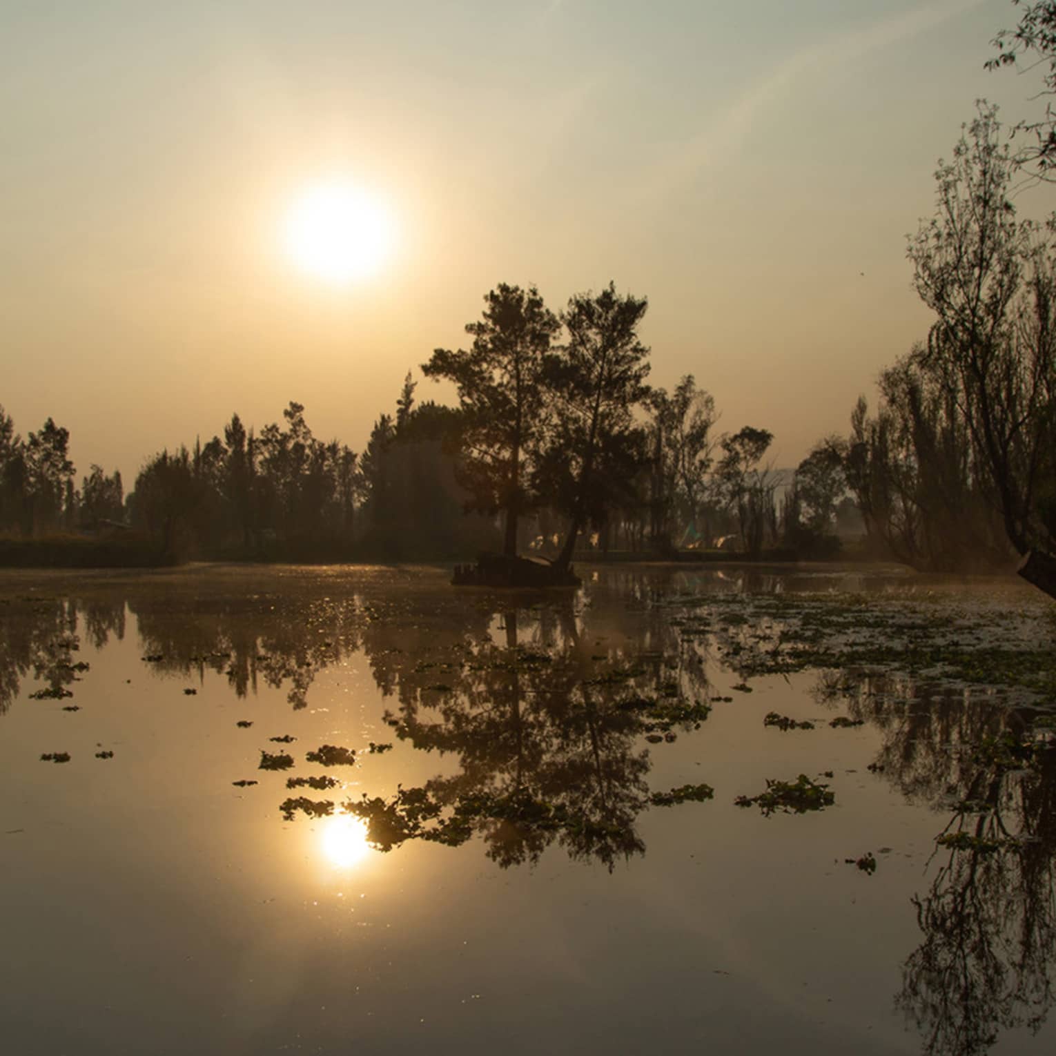Sunset on lake with trees surrounding.