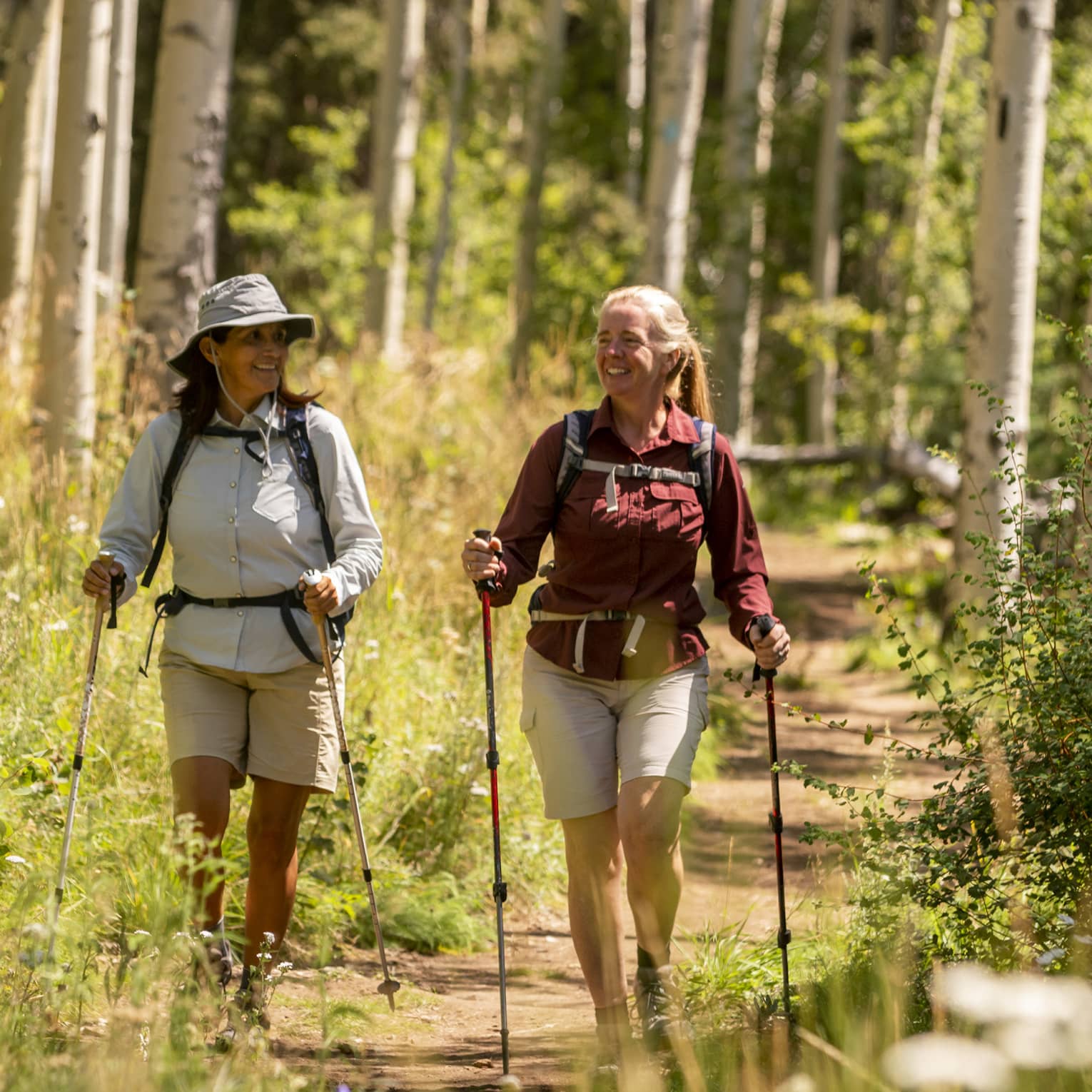 Two smiling hikers with walking poles hike along a sunny path within a golden forest of wildflowers and white-barked trees.
