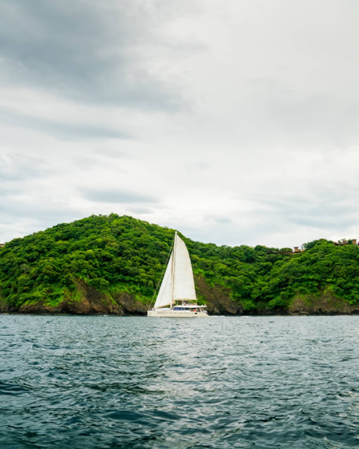 Catamaran boat with white sail on ocean in front of green mountain